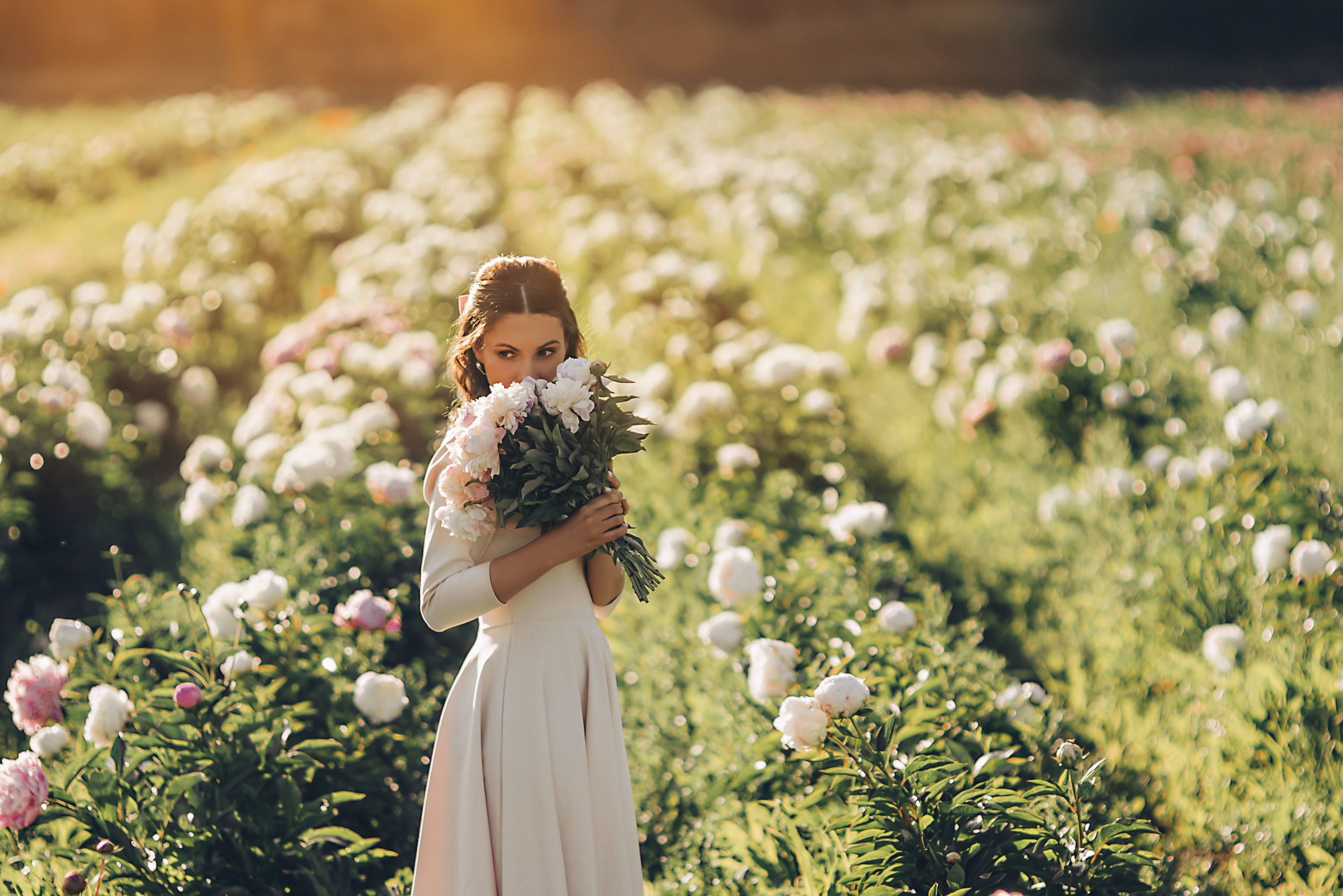 Champs de pivoines. Photographer in Provence Julia Lipiainen