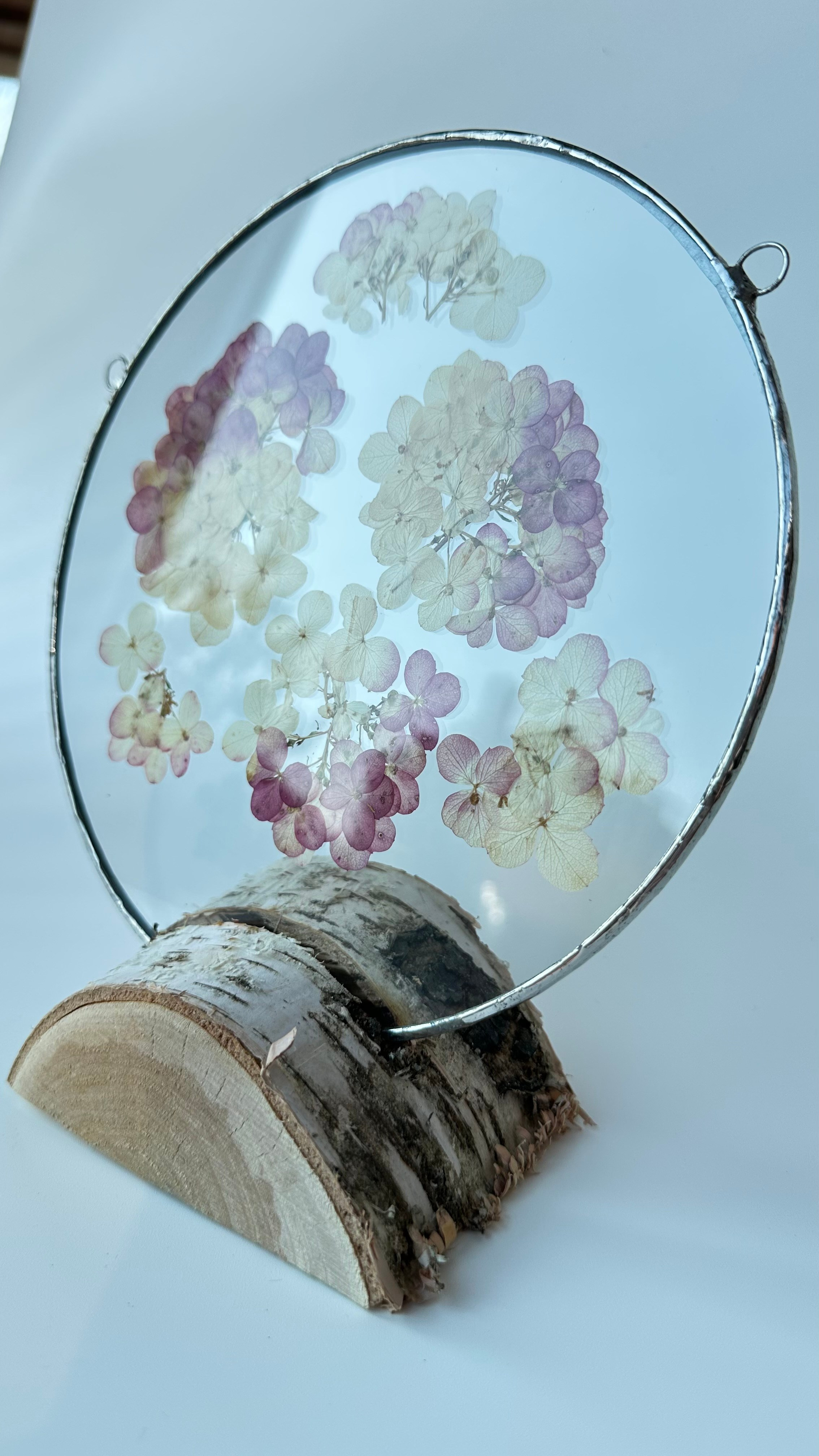 Гортензия круг 20 см. Оформляю пространства. Витражи с сухоцветами в технике Тиффани