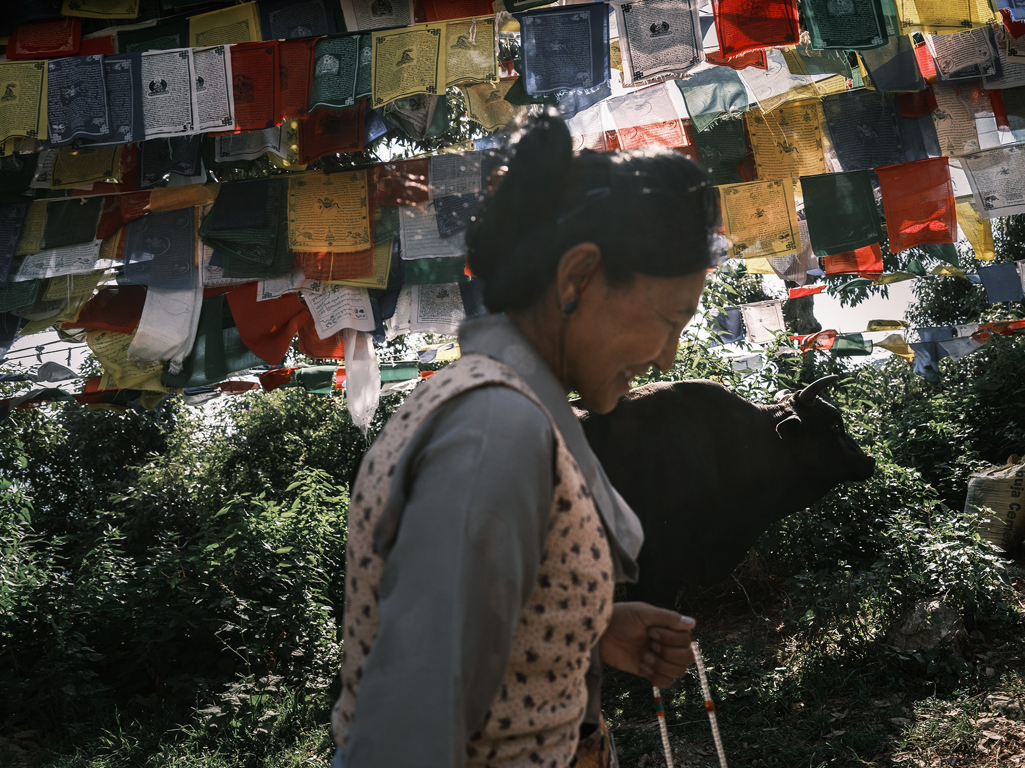 Tibetans in India. Documentary and art photographer Alexey Terentyev