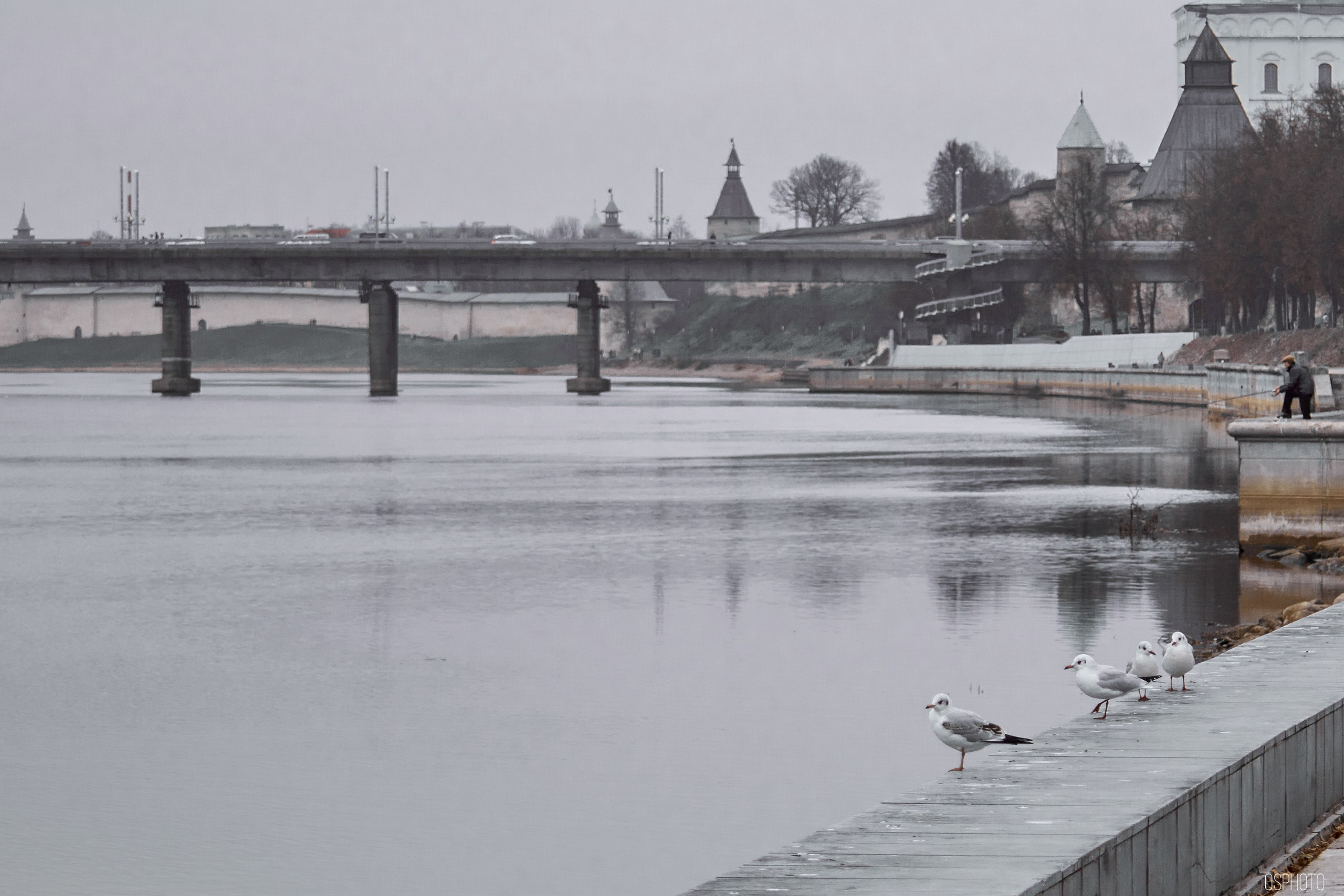 Псков. Ноябрь. Фотографъ Сергѣевъ. Поймать мгновеніе