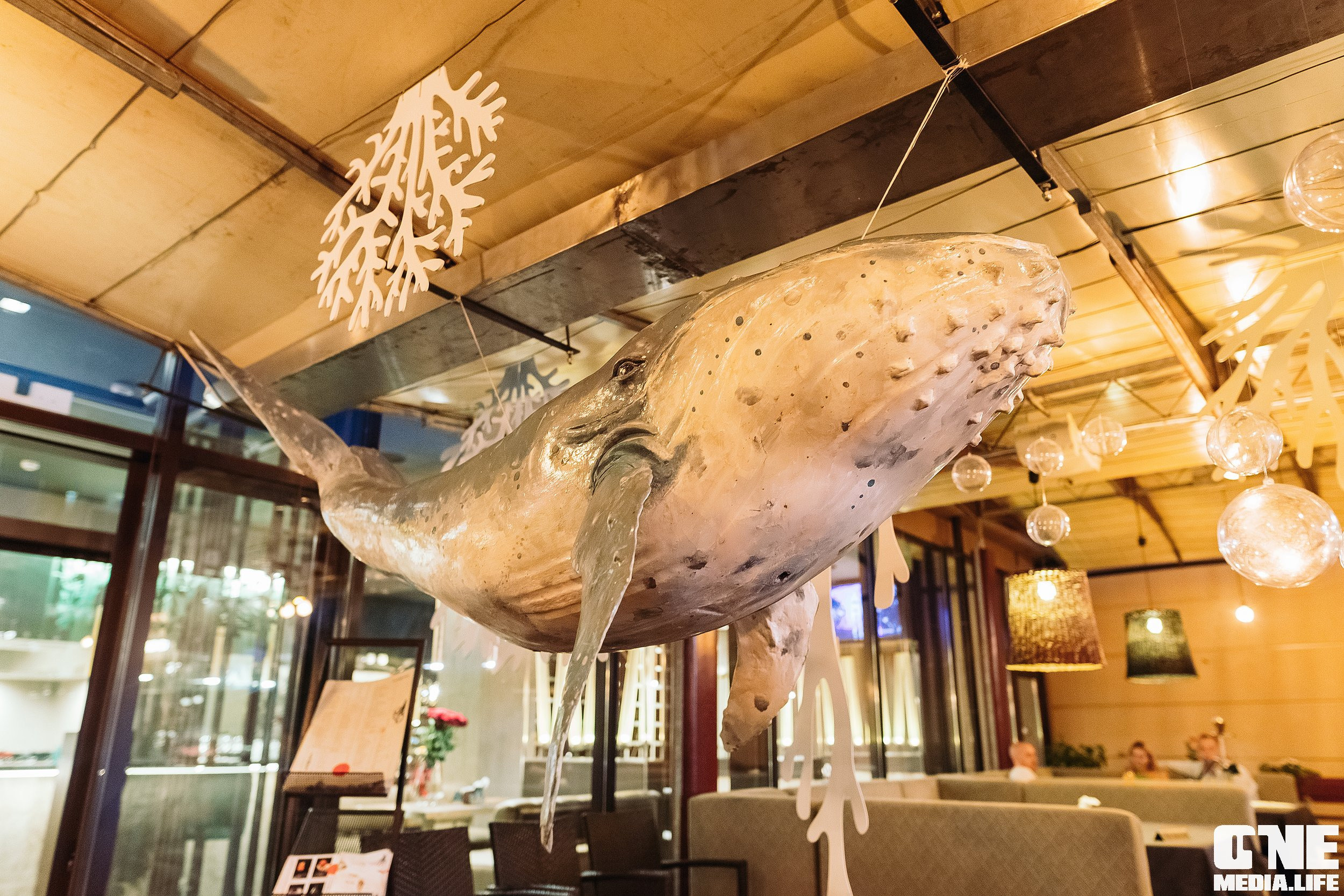 Фоторепортаж из ресторана Sushi & More. One Media Life: фоторепортажи, фотоотчеты с мероприятий и заведений