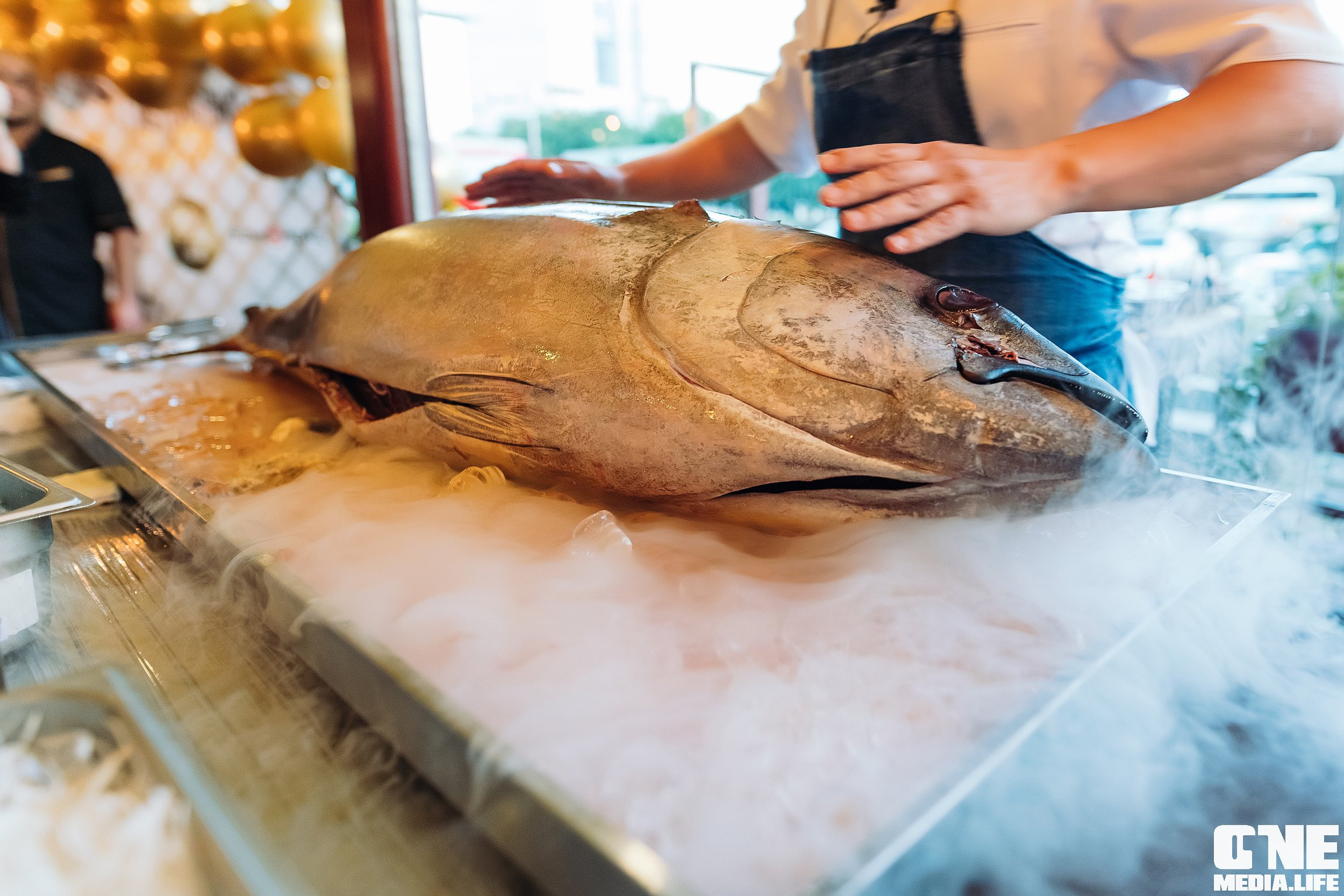 Фоторепортаж из ресторана Sushi & More. One Media Life: фоторепортажи, фотоотчеты с мероприятий и заведений