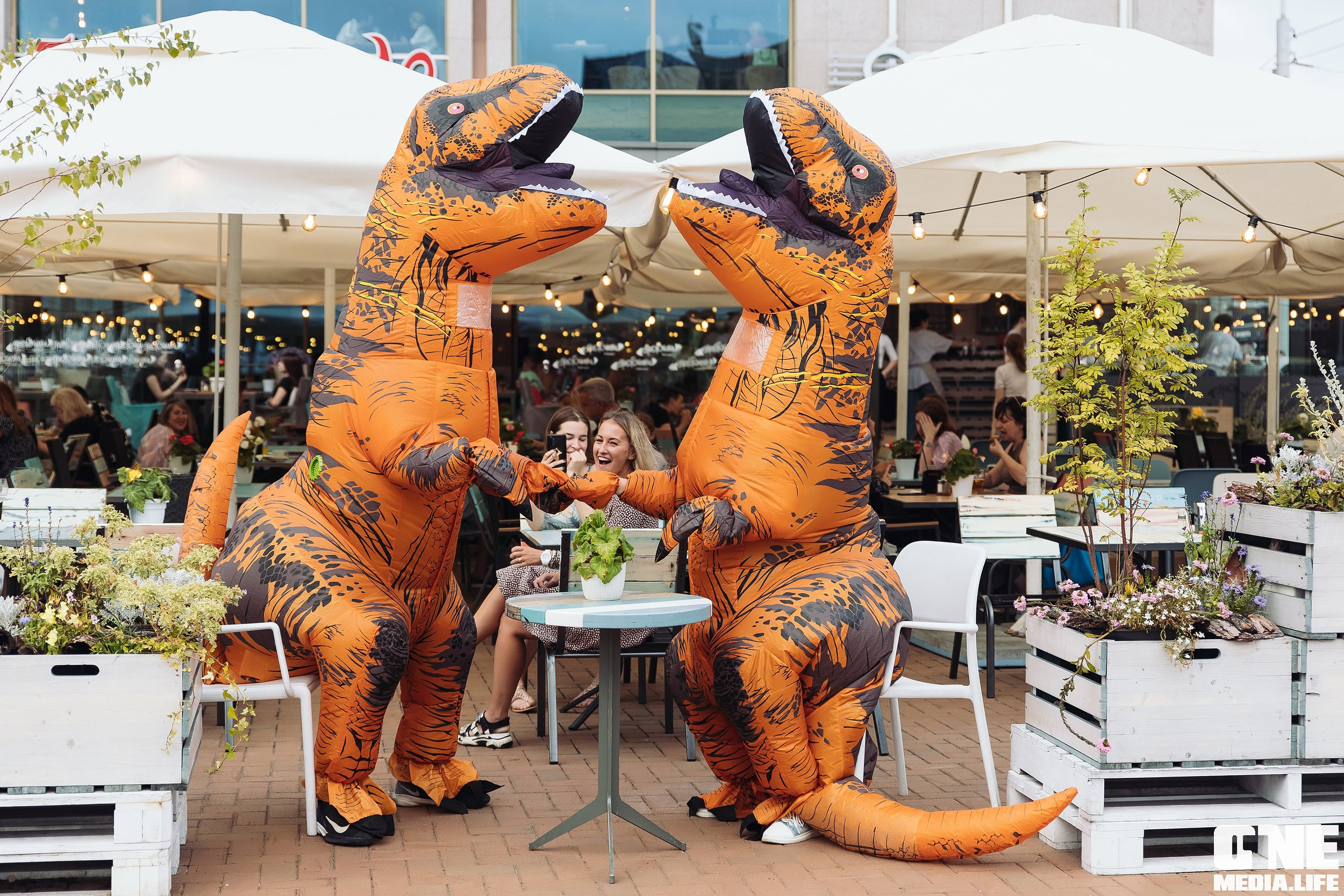 Фоторепортаж из Пятерочки. One Media Life: фоторепортажи, фотоотчеты с мероприятий и заведений