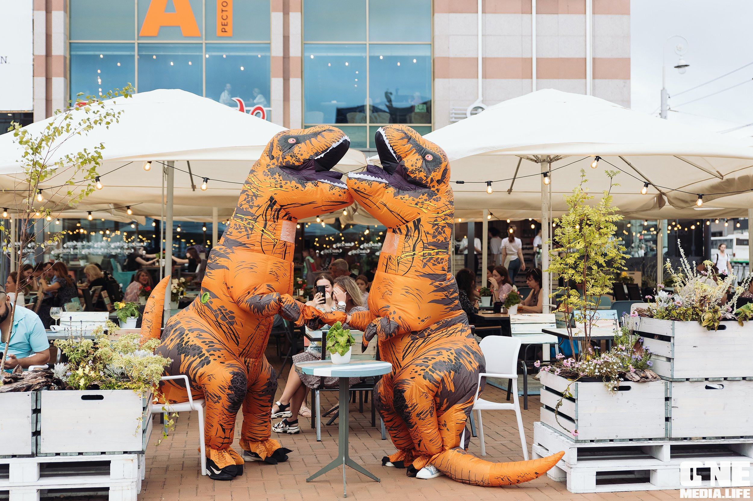 Фоторепортаж из Пятерочки. One Media Life: фоторепортажи, фотоотчеты с мероприятий и заведений