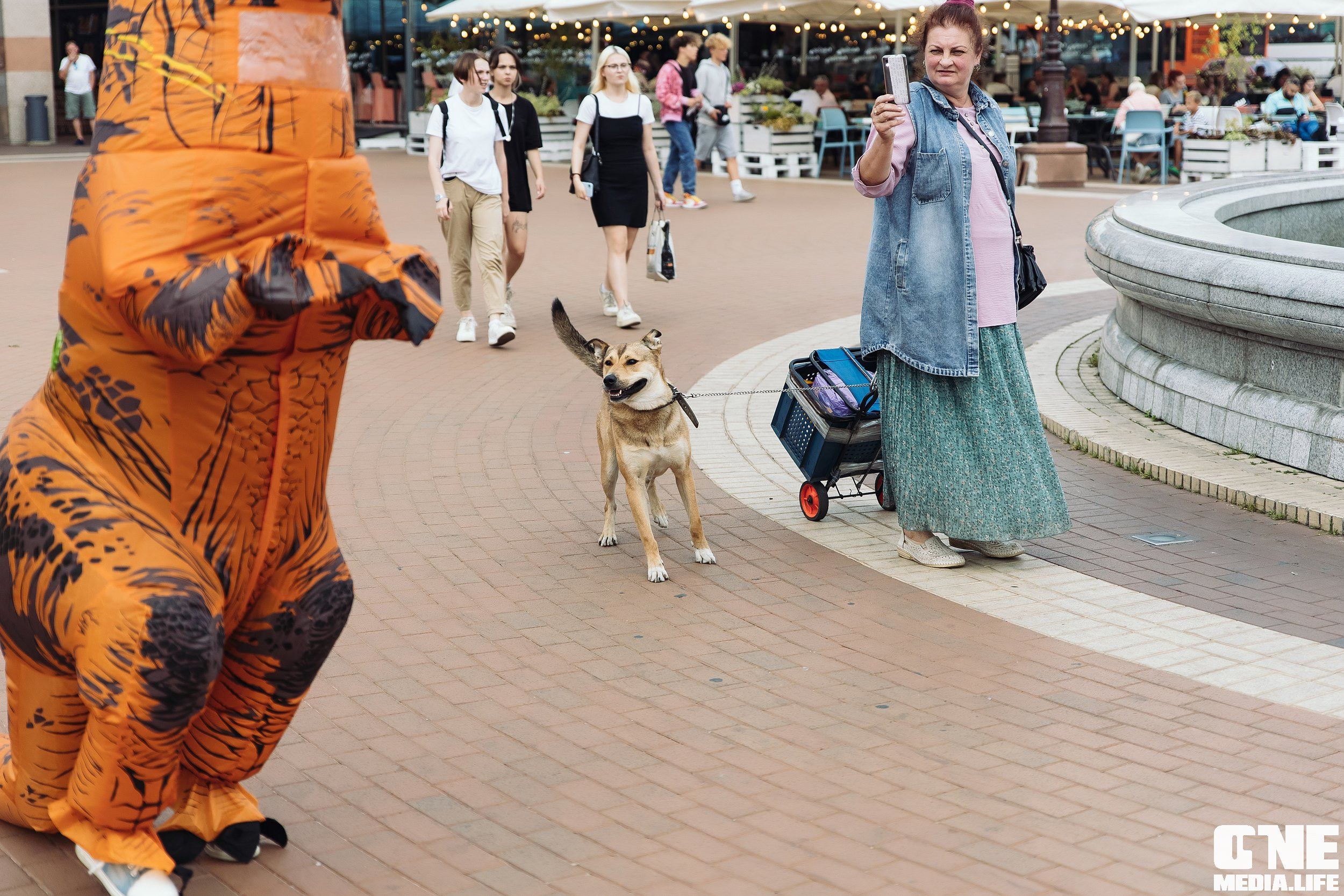 Фоторепортаж из Пятерочки. One Media Life: фоторепортажи, фотоотчеты с мероприятий и заведений