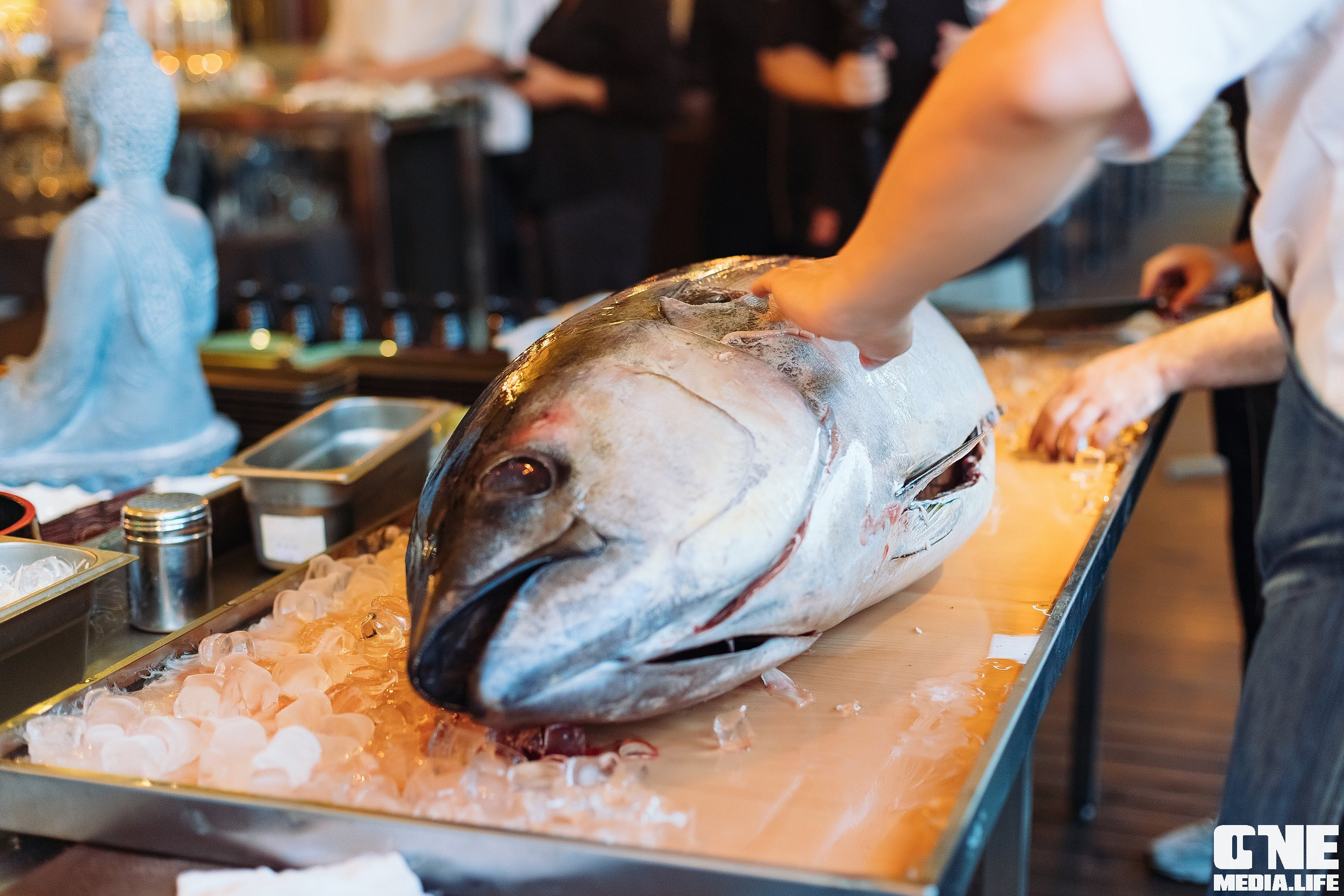 Фоторепортаж из ресторана Sushi & More. One Media Life: фоторепортажи, фотоотчеты с мероприятий и заведений