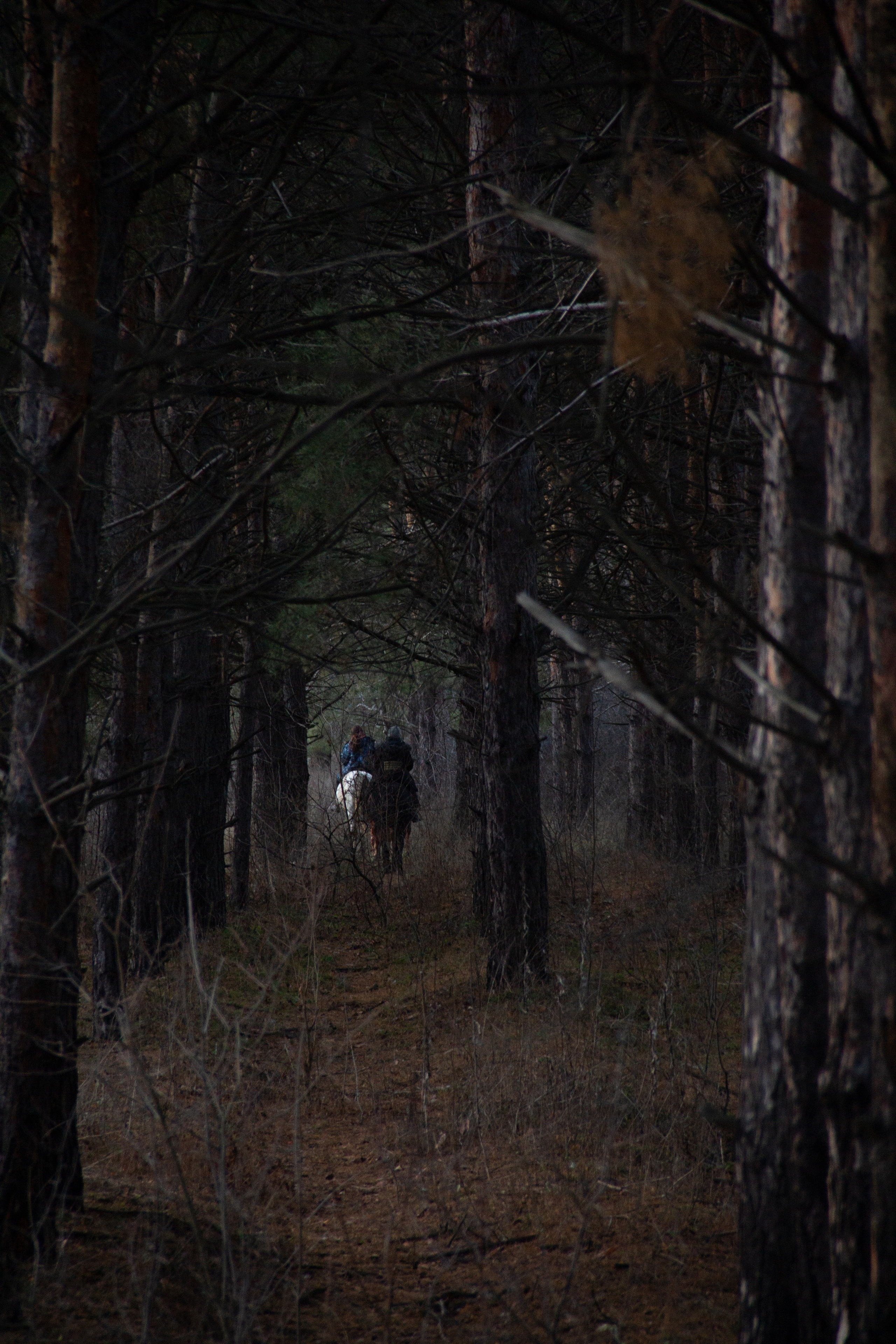 Маленькая предновогодняя сказка. Фотограф lifestyle, фотографирую жизнь, эмоции, красоту. Волгоград