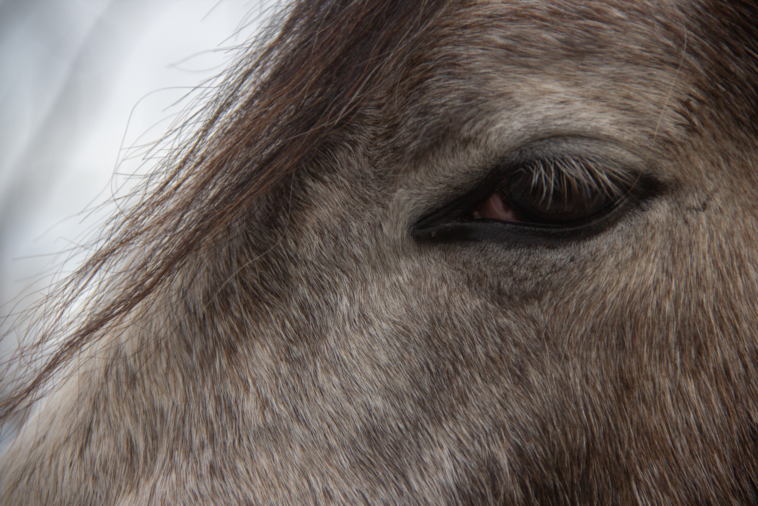 Маленькая предновогодняя сказка. Фотограф lifestyle, фотографирую жизнь, эмоции, красоту. Волгоград