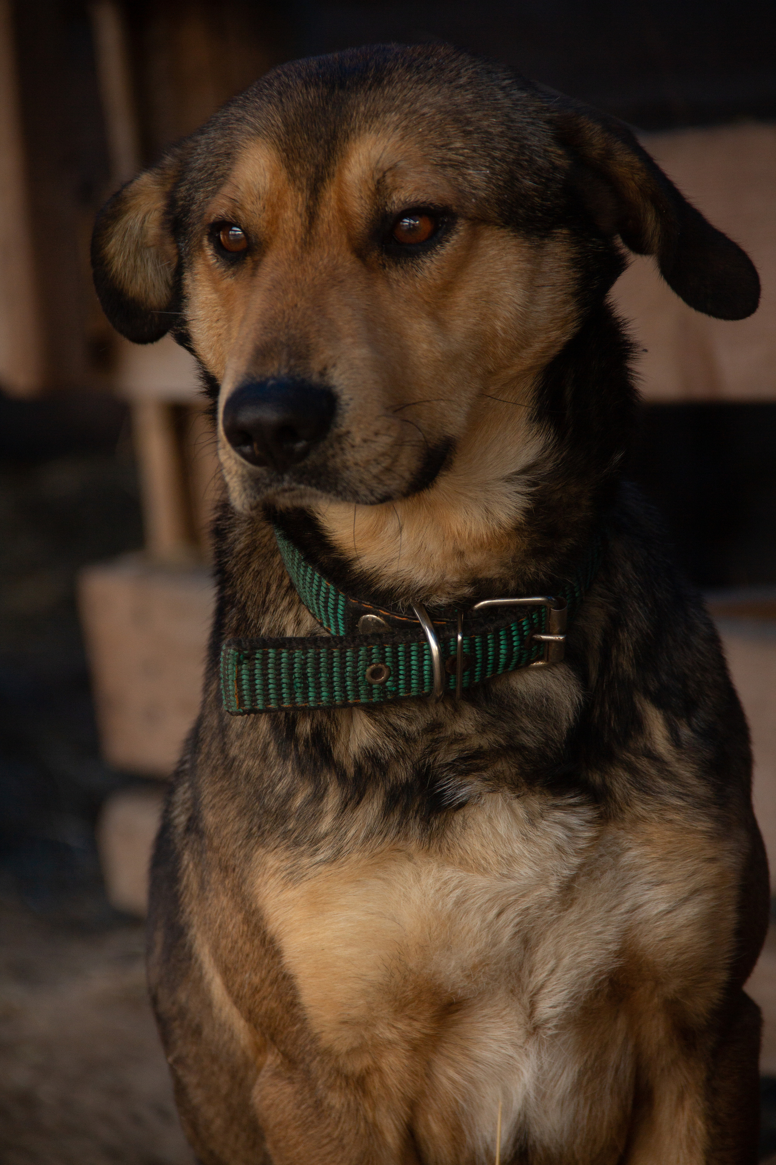 Маленькая предновогодняя сказка. Фотограф lifestyle, фотографирую жизнь, эмоции, красоту. Волгоград