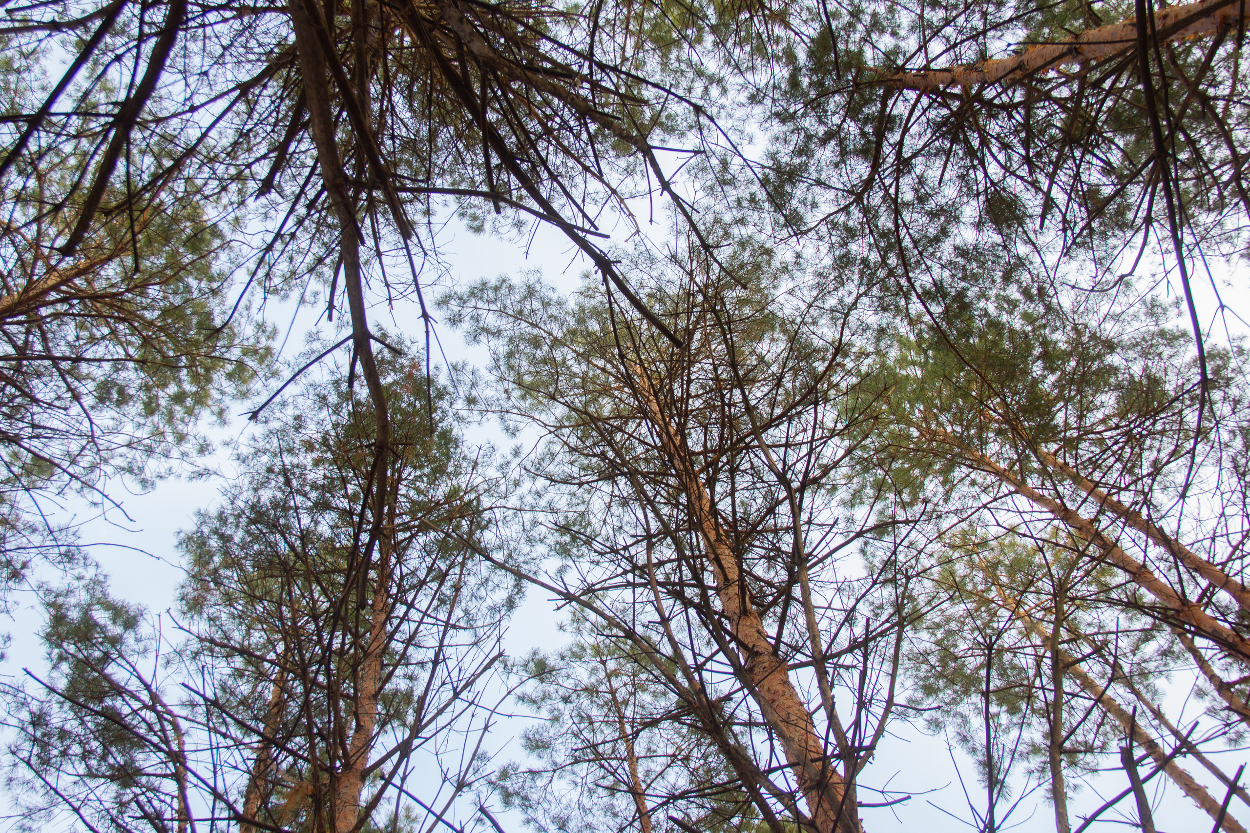 Маленькая предновогодняя сказка. Фотограф lifestyle, фотографирую жизнь, эмоции, красоту. Волгоград