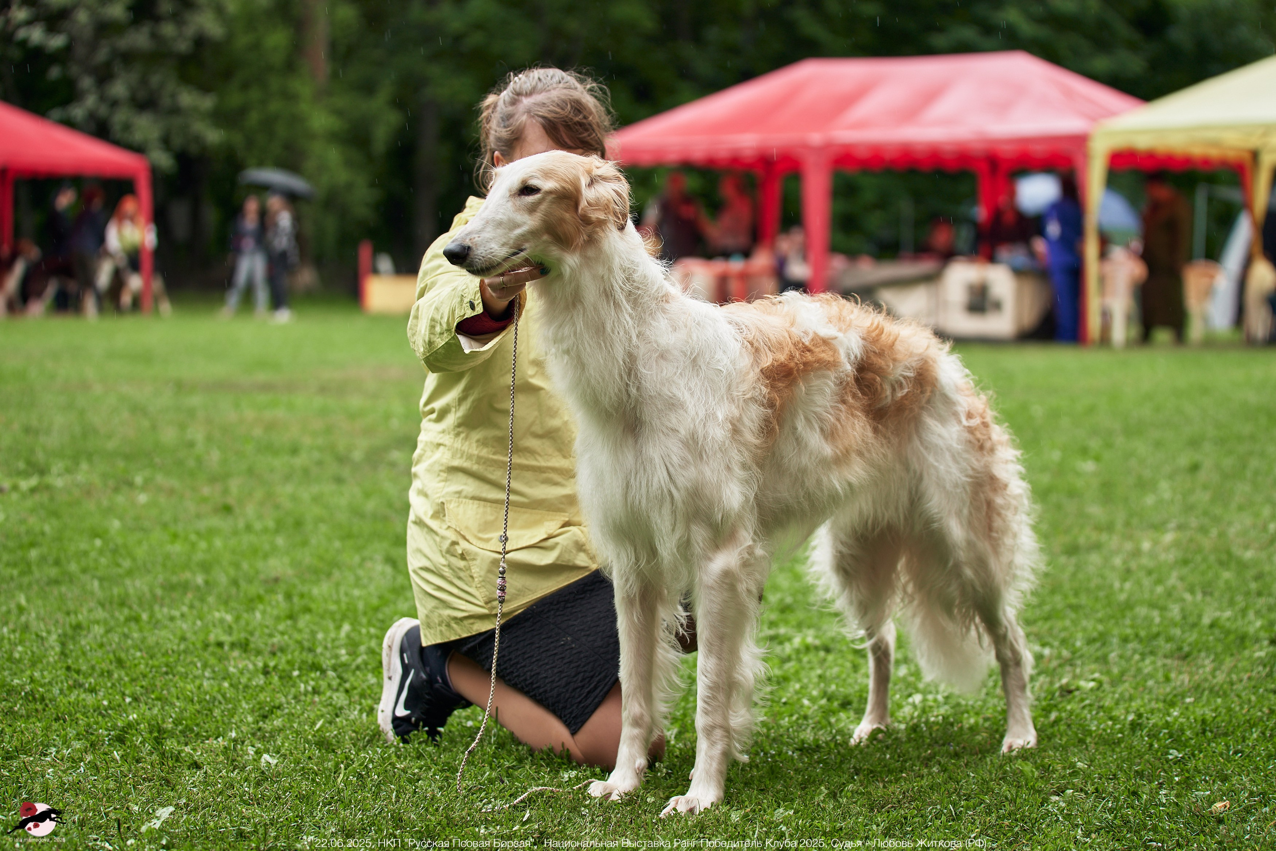 22.06.2025 | Национальная Выставка НКП "Русская Псовая Борзая"