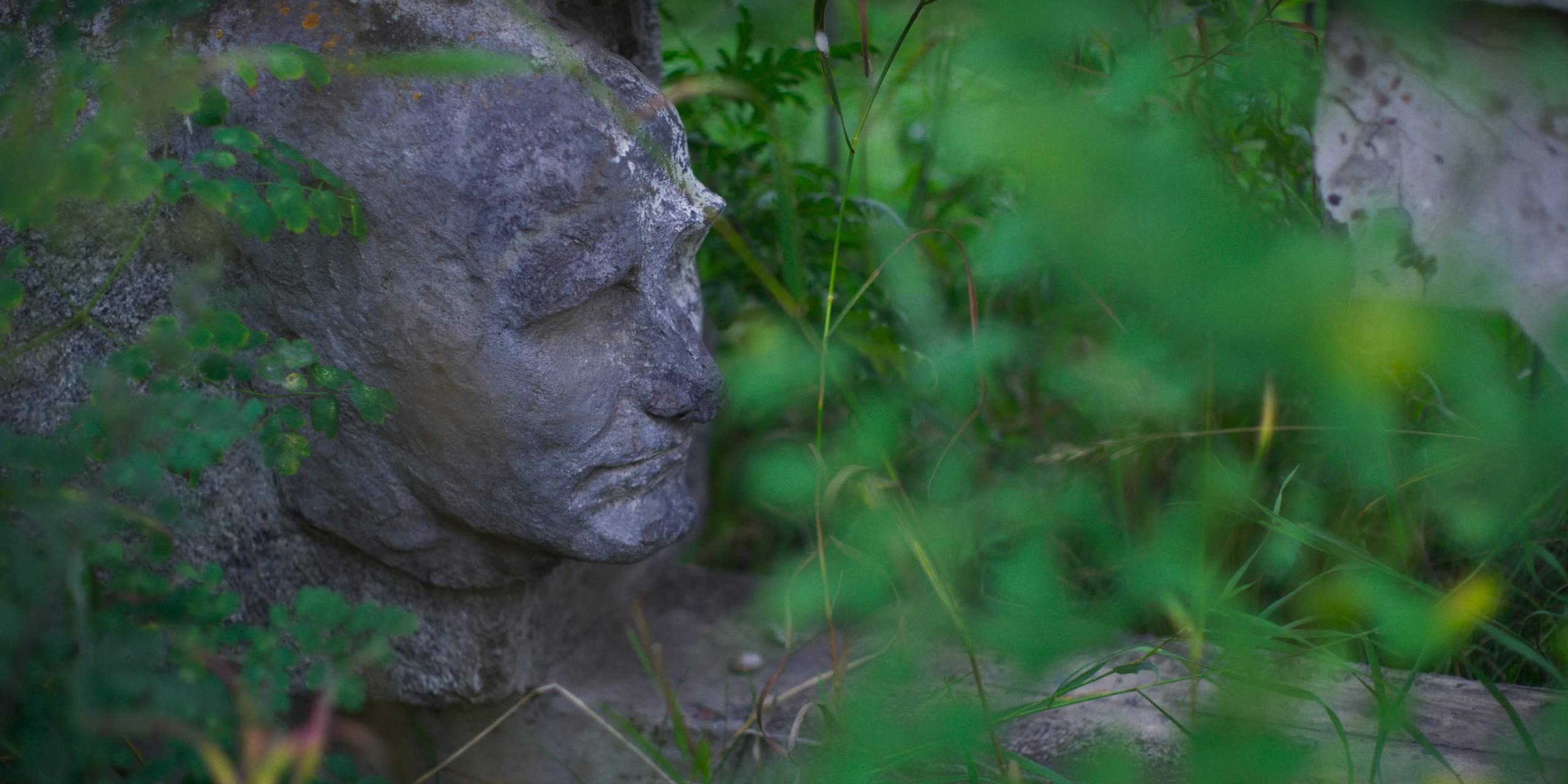 Полифония. Василий Буйлов|Vasilii Builov