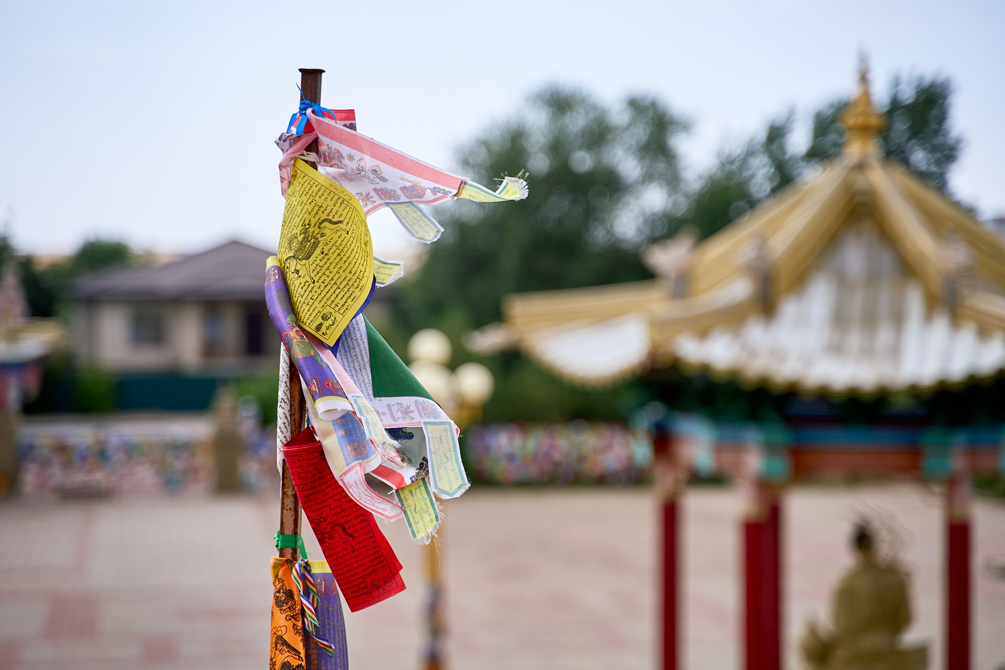 Элиста 08.2024. Петр Ступень. Свадебное, семейное фото и видео. Москва. Краснодар