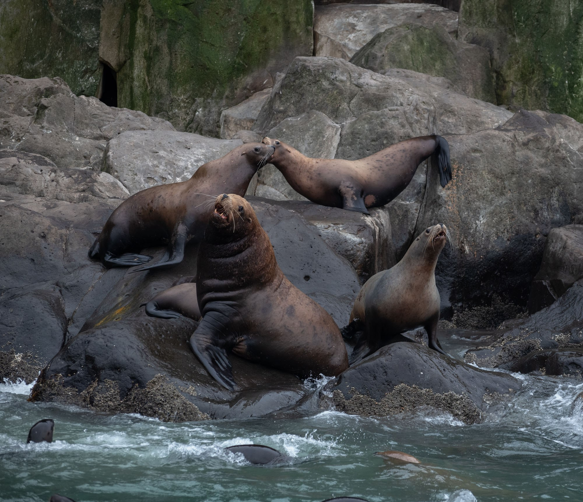 Фотоэкспедиция по Шантарам, к острову Ионы и полуострову Кони