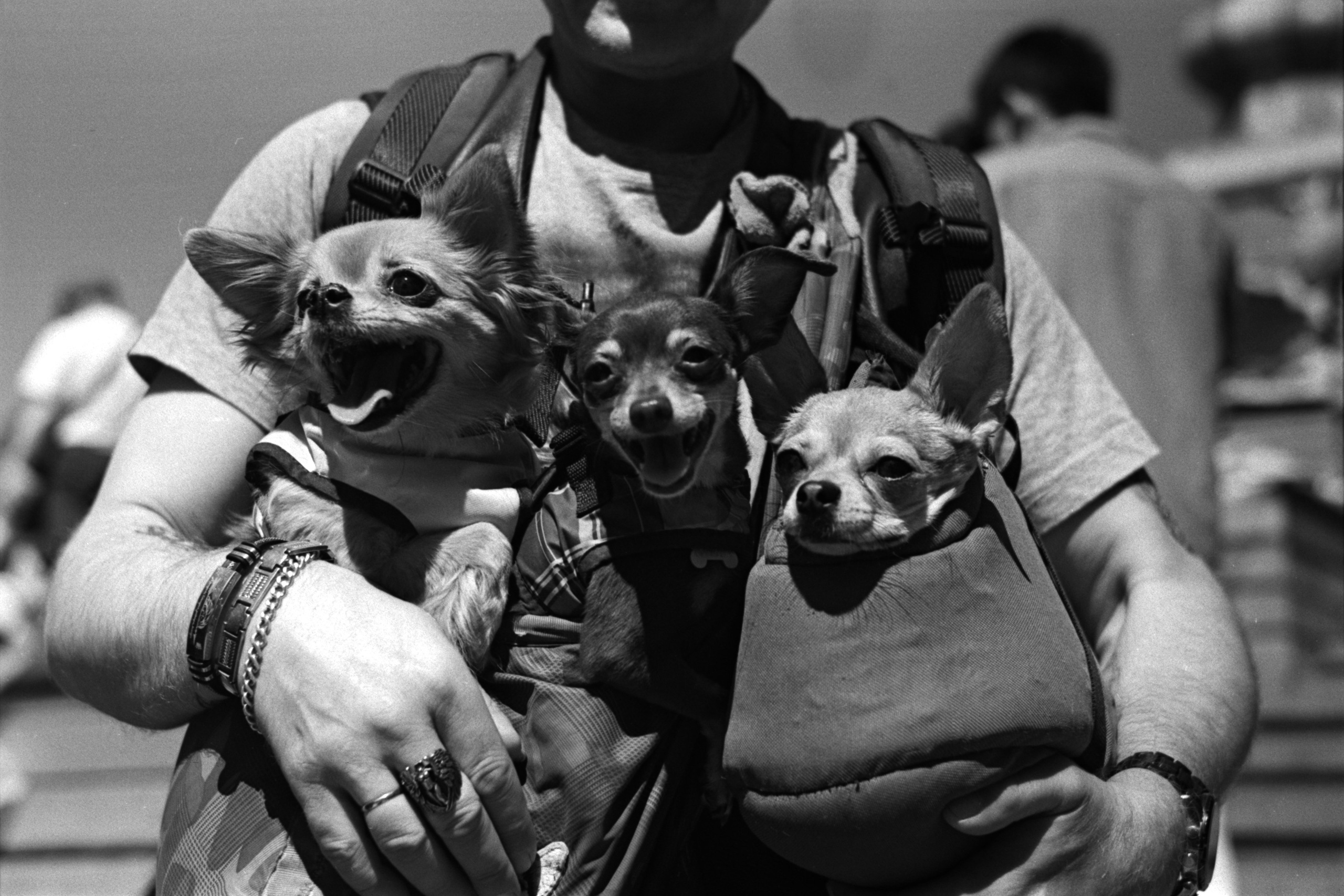 Автор: Антон Васильев