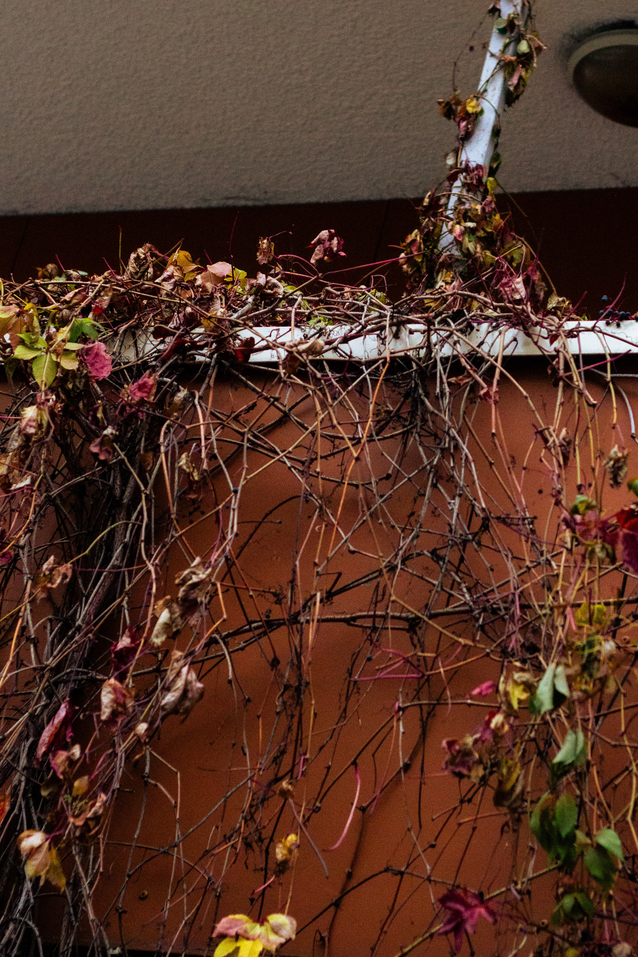 Осень в Москве. Фотограф Москва, портрет, стрит, репортаж. Художественная фотосессия