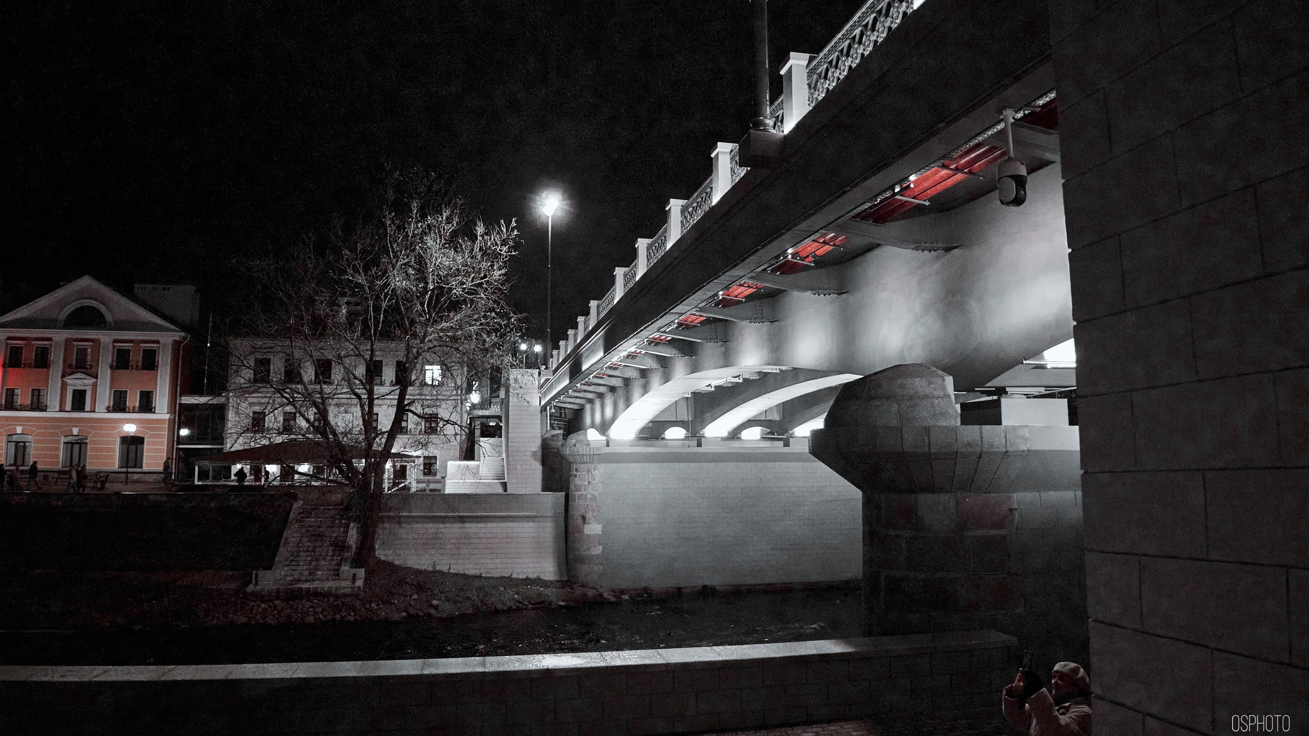 Псков. Ноябрь. Фотографъ Сергѣевъ. Поймать мгновеніе