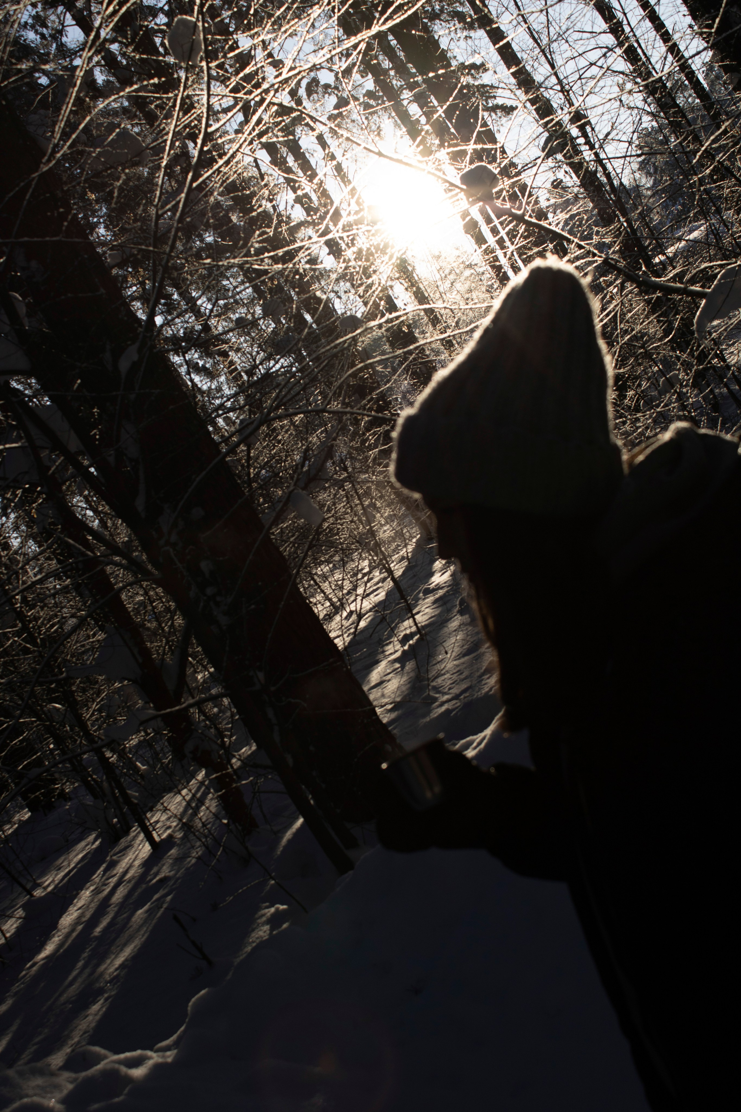 Зимняя прогулка. Бутакова Елена фотограф в Екатеринбурге