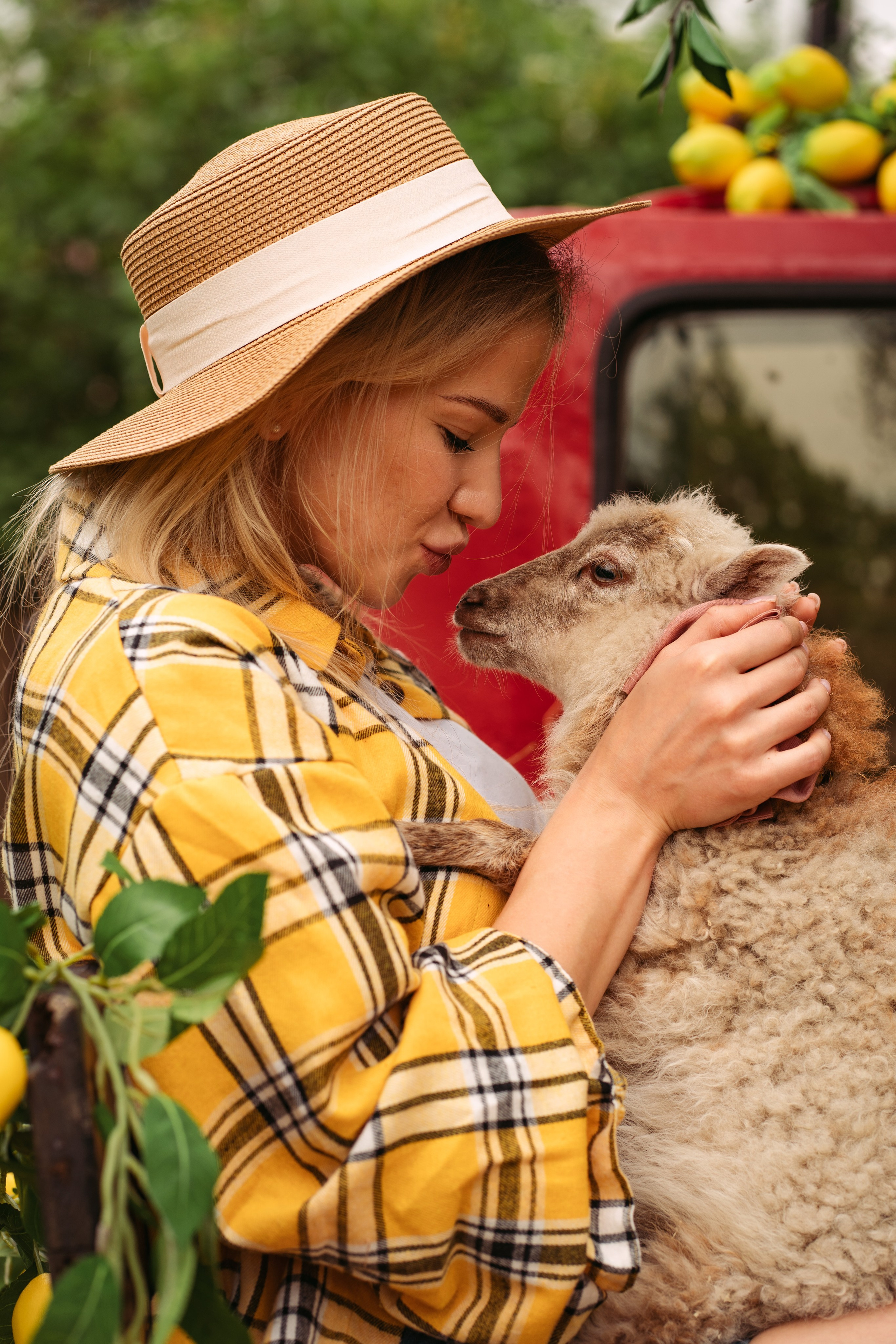 Фотодача «Калина». Мои работы