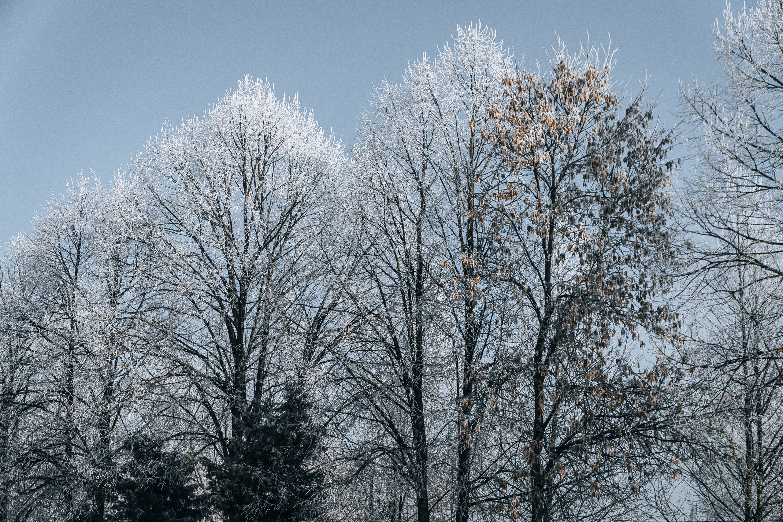 Акция «Блокадный хлеб». Новотитаровский Дом культуры
