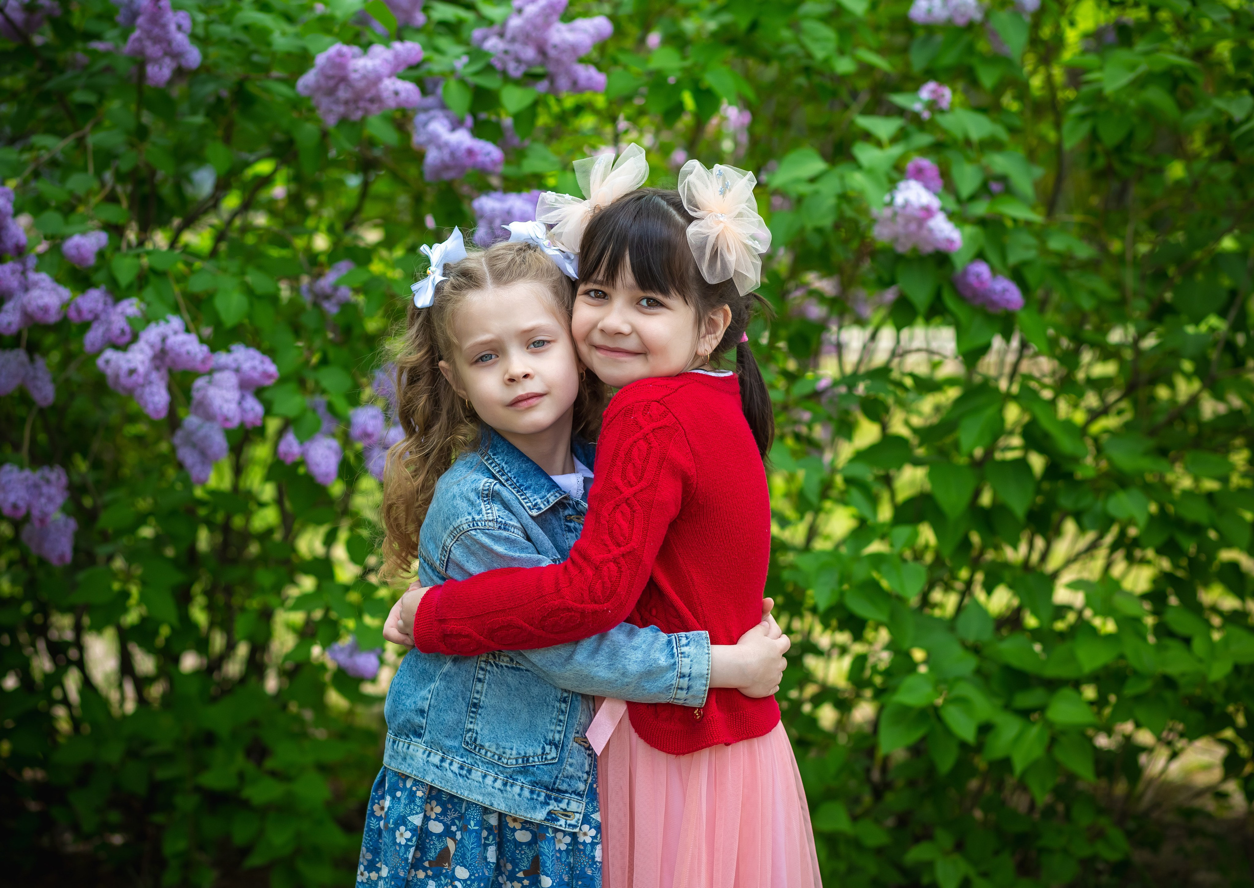 Детский сад. Выпускные альбомы Воронеж от Веры Соколовой