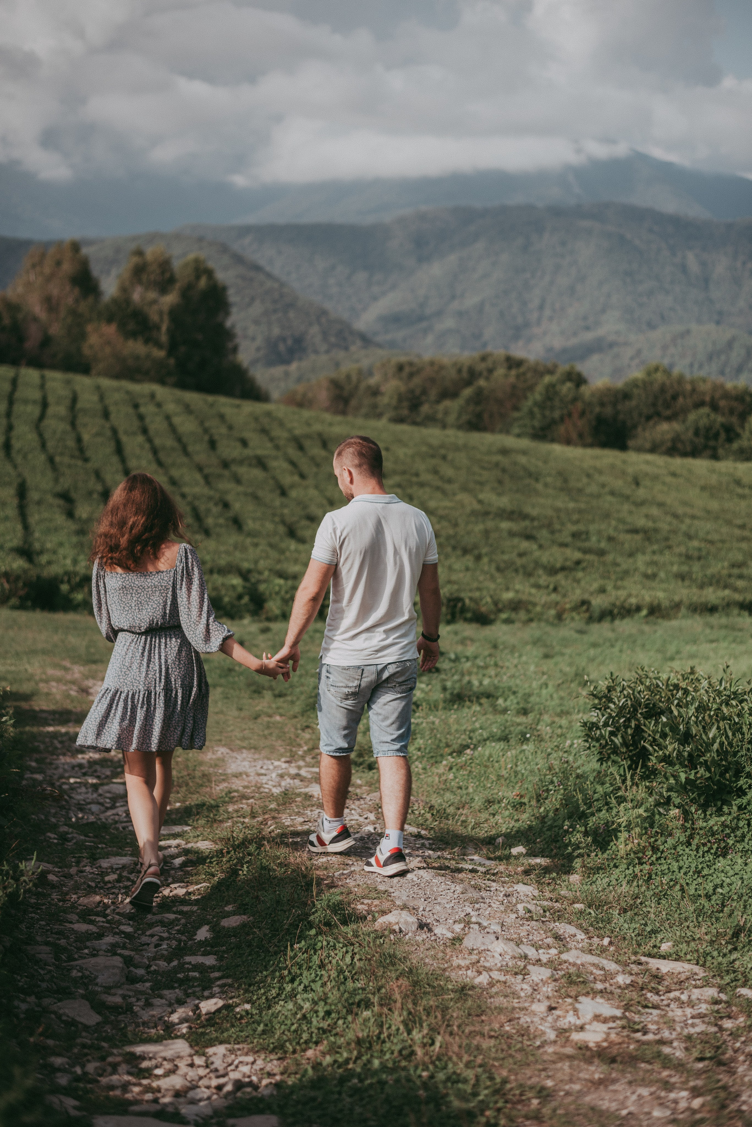 Чайные плантации Солох-аул. Фотограф в Сочи — Маргарита Поганова