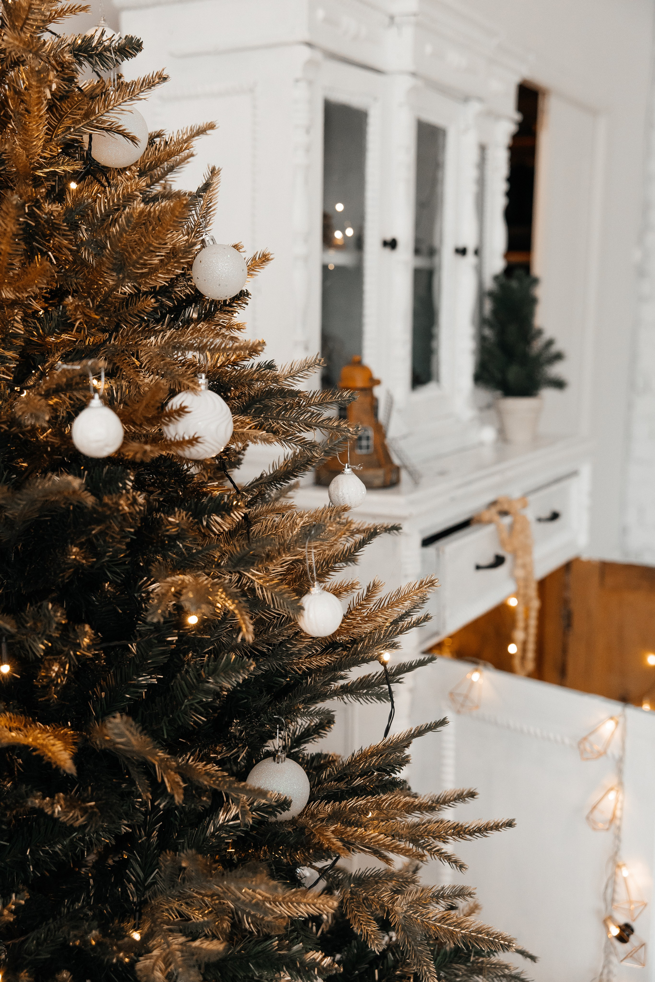 Лотос. Фотостудия 220 — первая в Чите фотостудия, предназначенная для работы