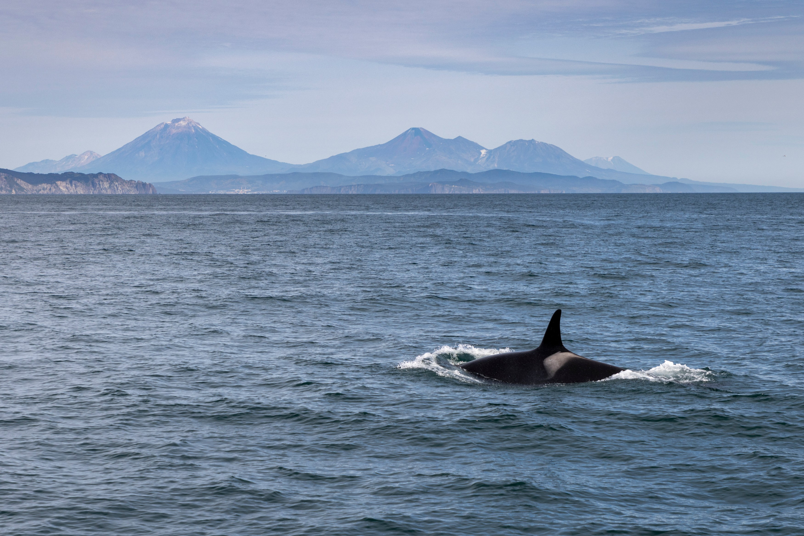 Время Камчатки — кто мы и почему влюблены в полуостров. Время Камчатки: чтобы найти свой путь, нужно скорость умножить на время