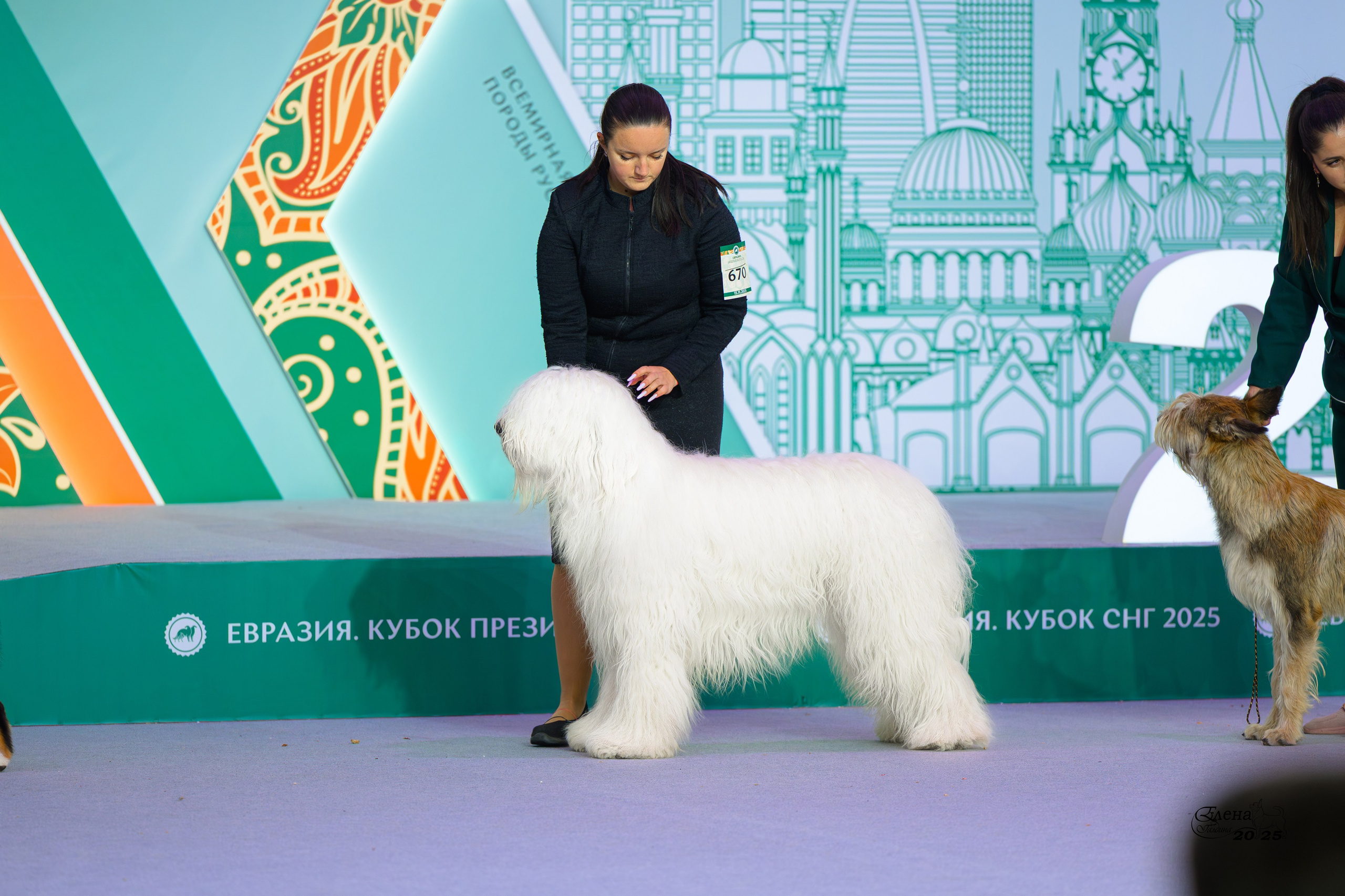 15-16.11.2025 ЕВРАЗИЯ г. Москва. Фотограф анималист Елена Галдина г. Красноярск