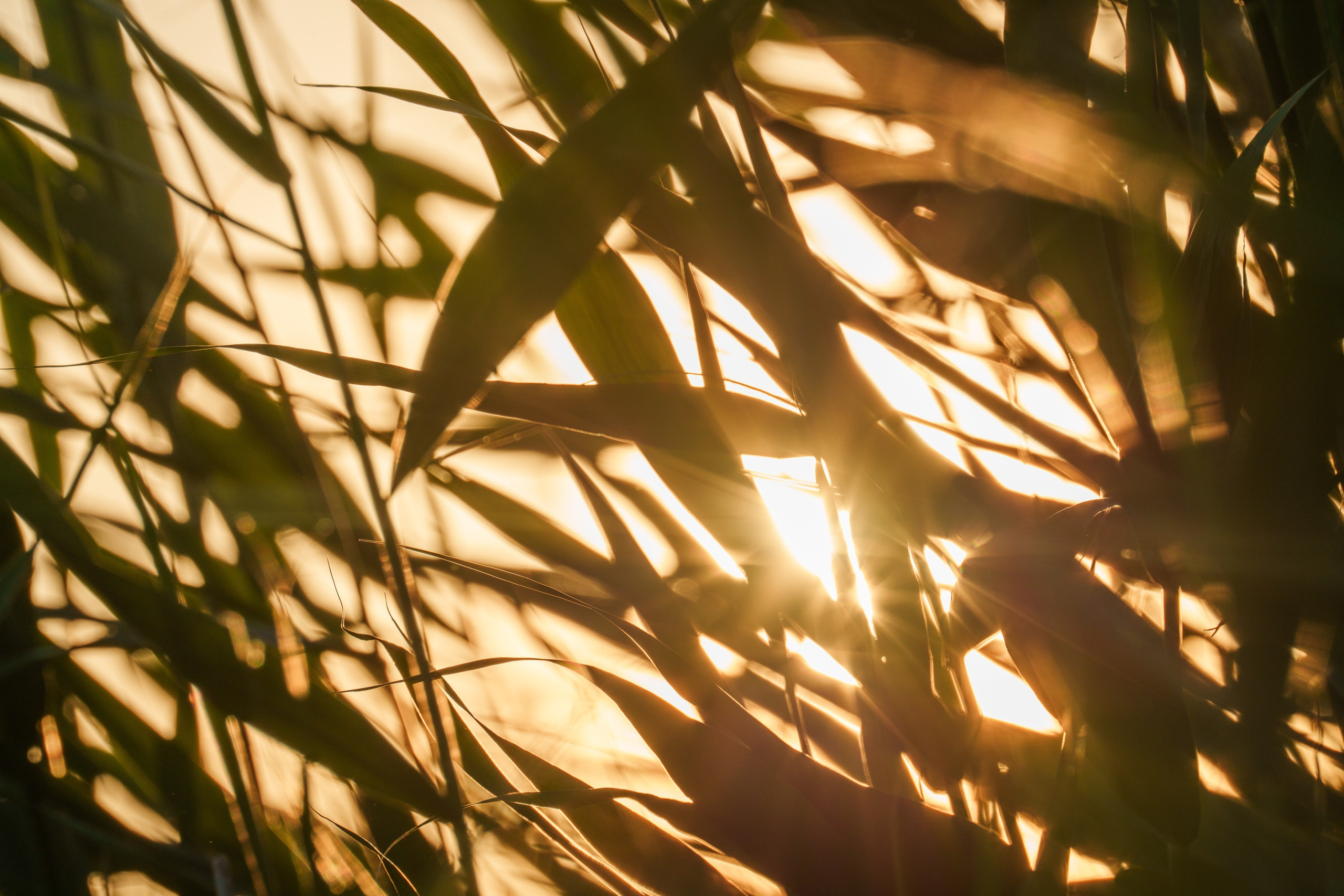 Учебный фототур на Эльтон. Июнь