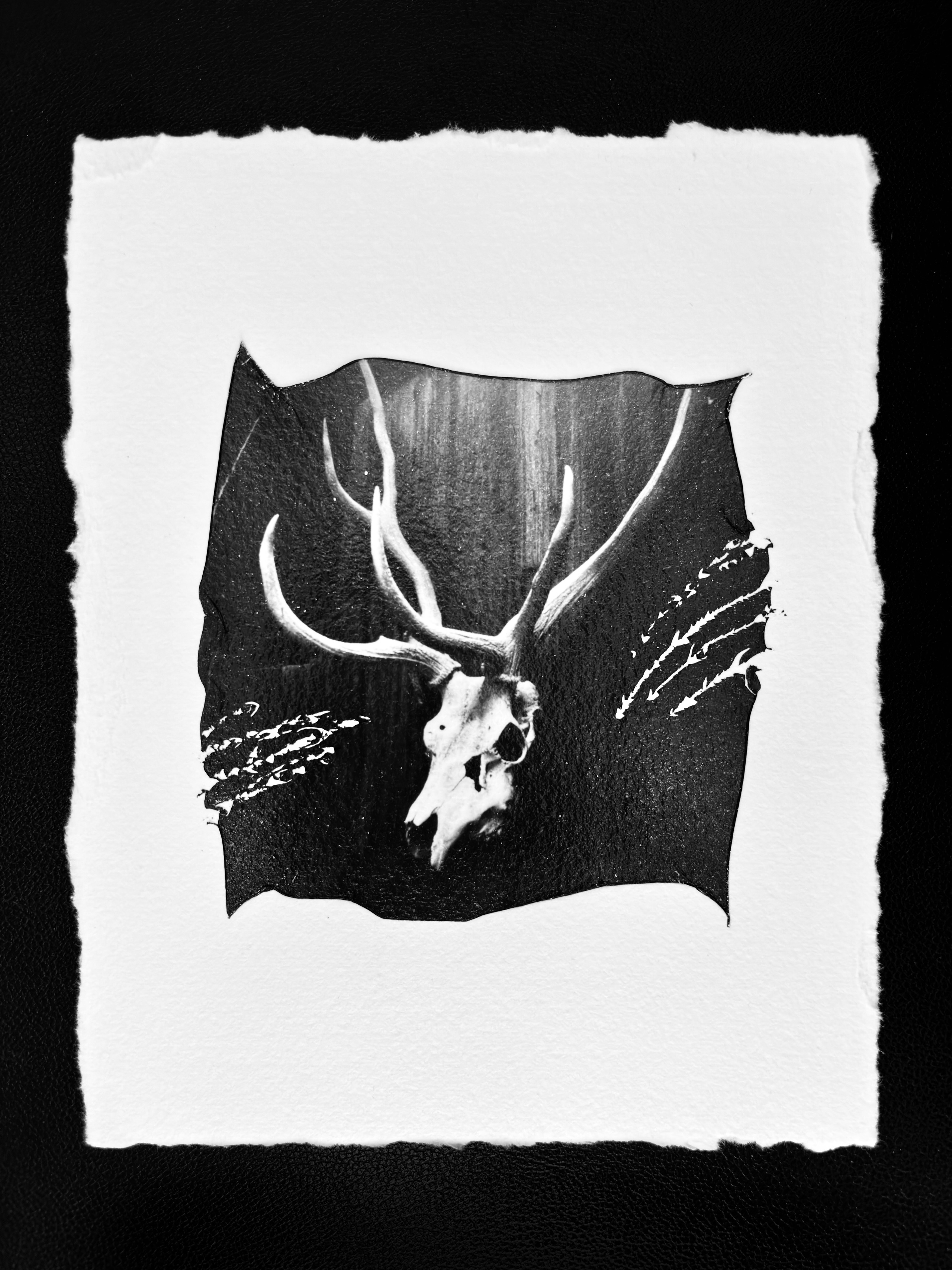 Liberation project by Vladimir Borele. Vladimir Borele Photographer