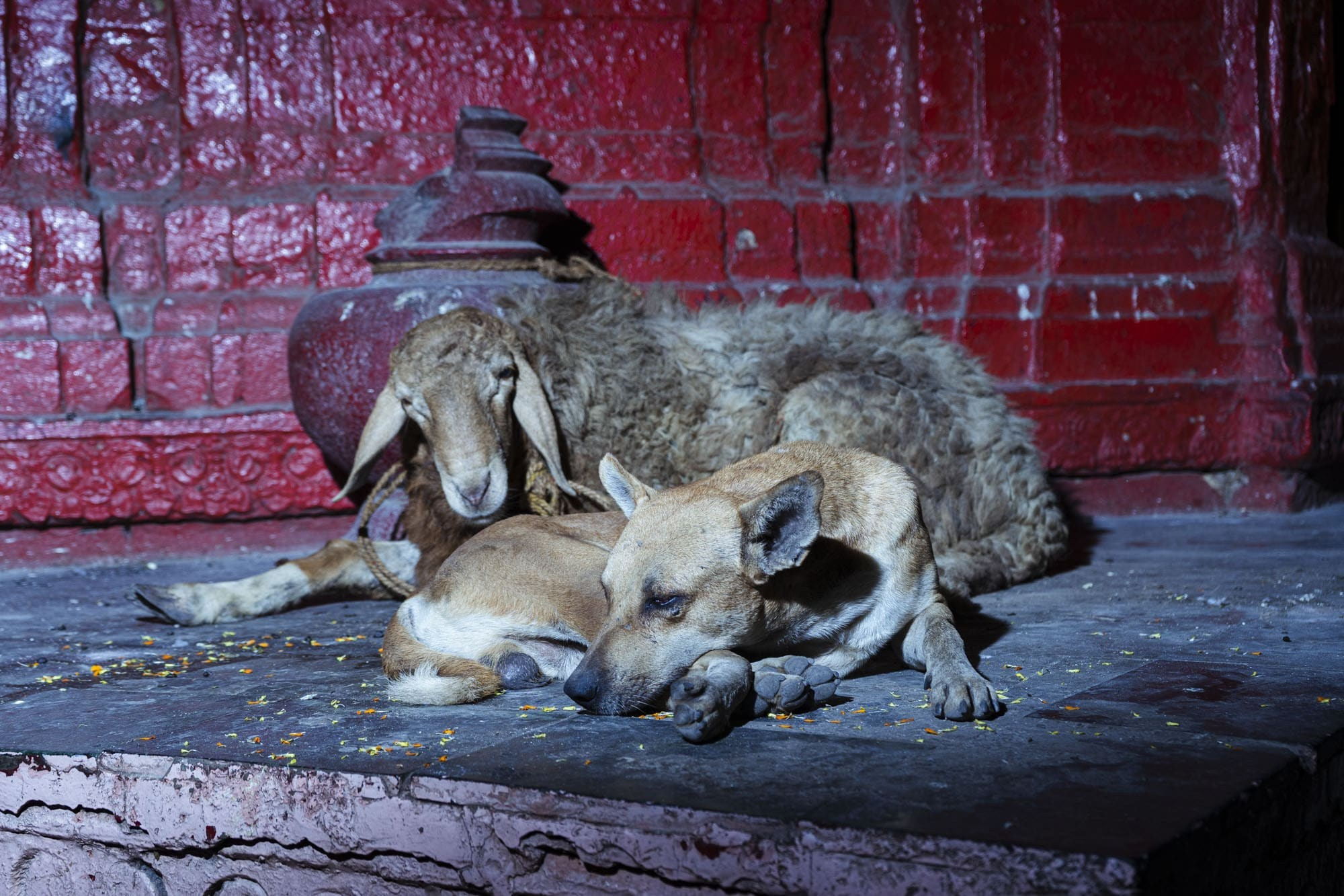 The Current That Carries Away. Alena Ahmadullina