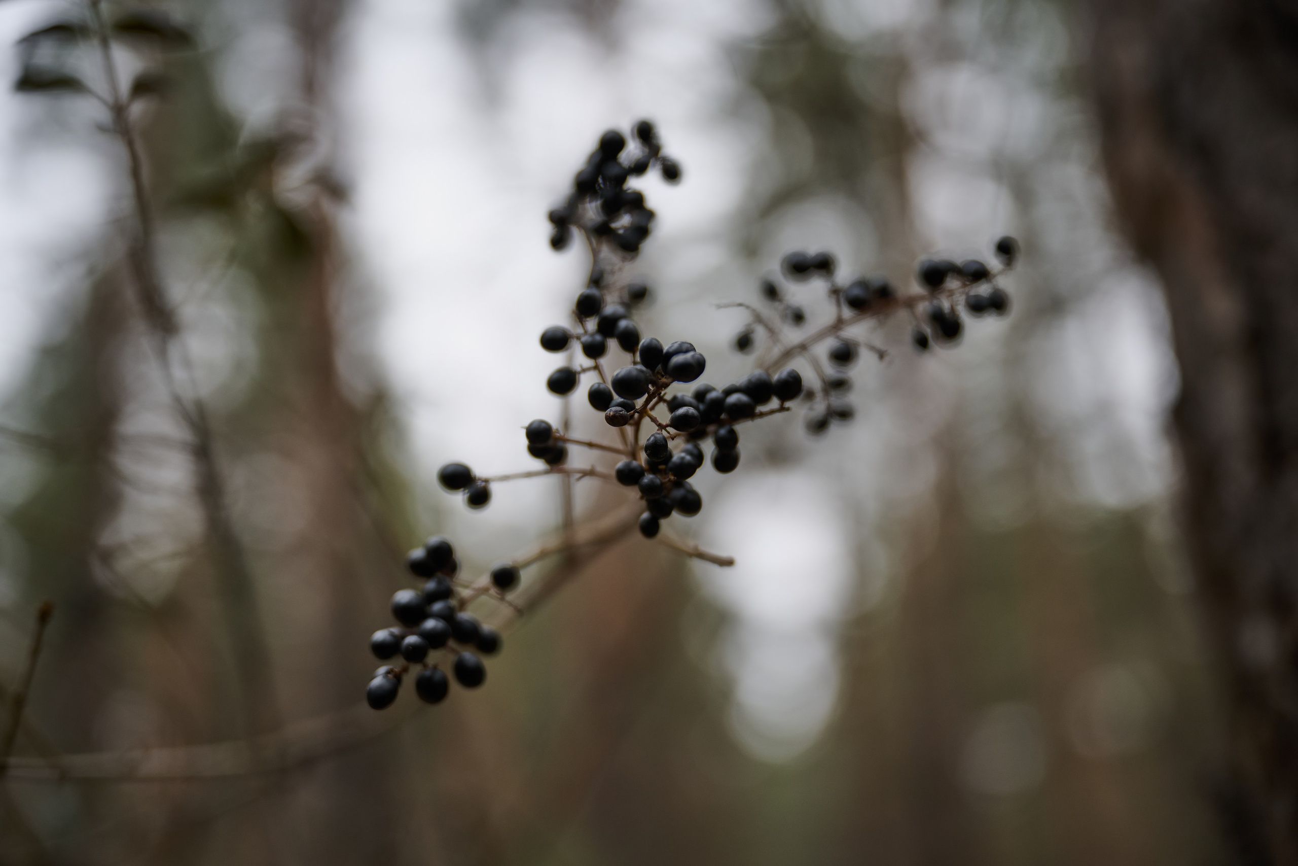 Магазин. Фотограф Роман Адлер