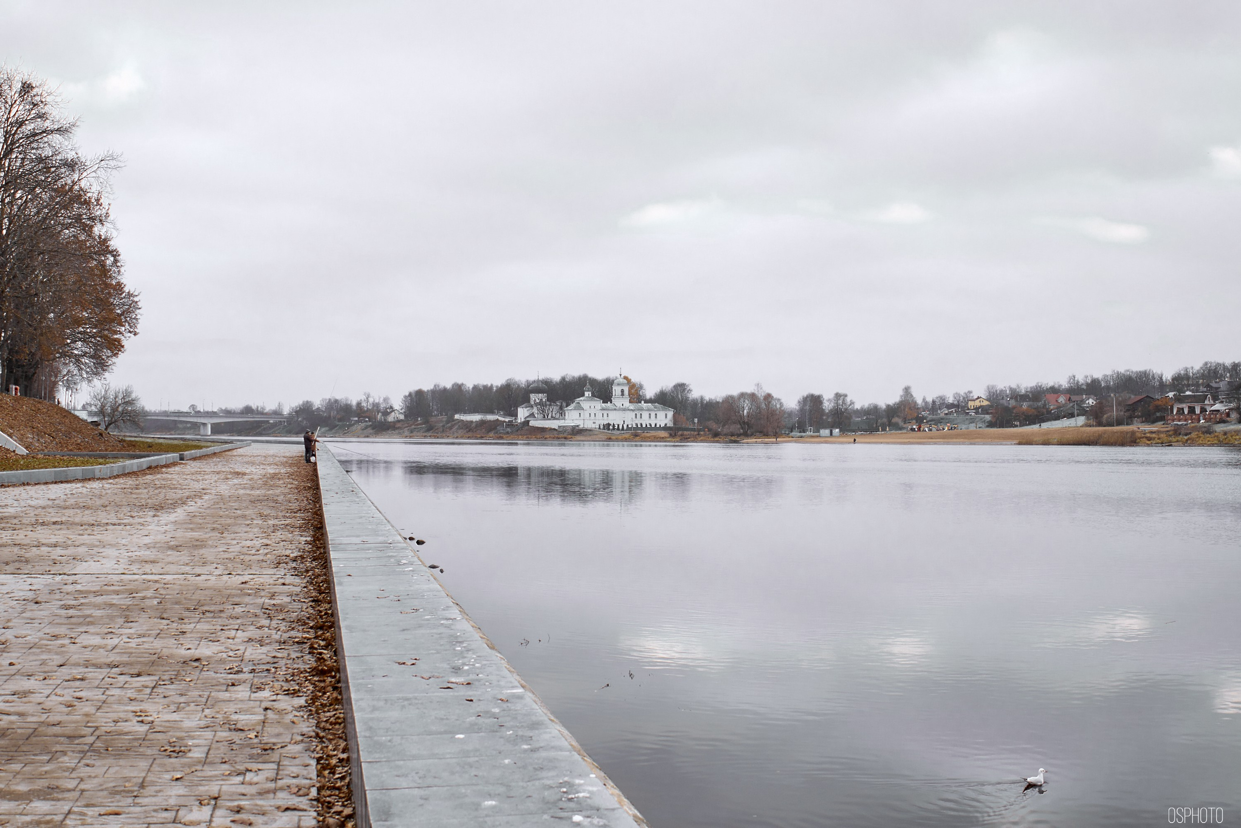 Псков. Ноябрь. Фотографъ Сергѣевъ. Поймать мгновеніе