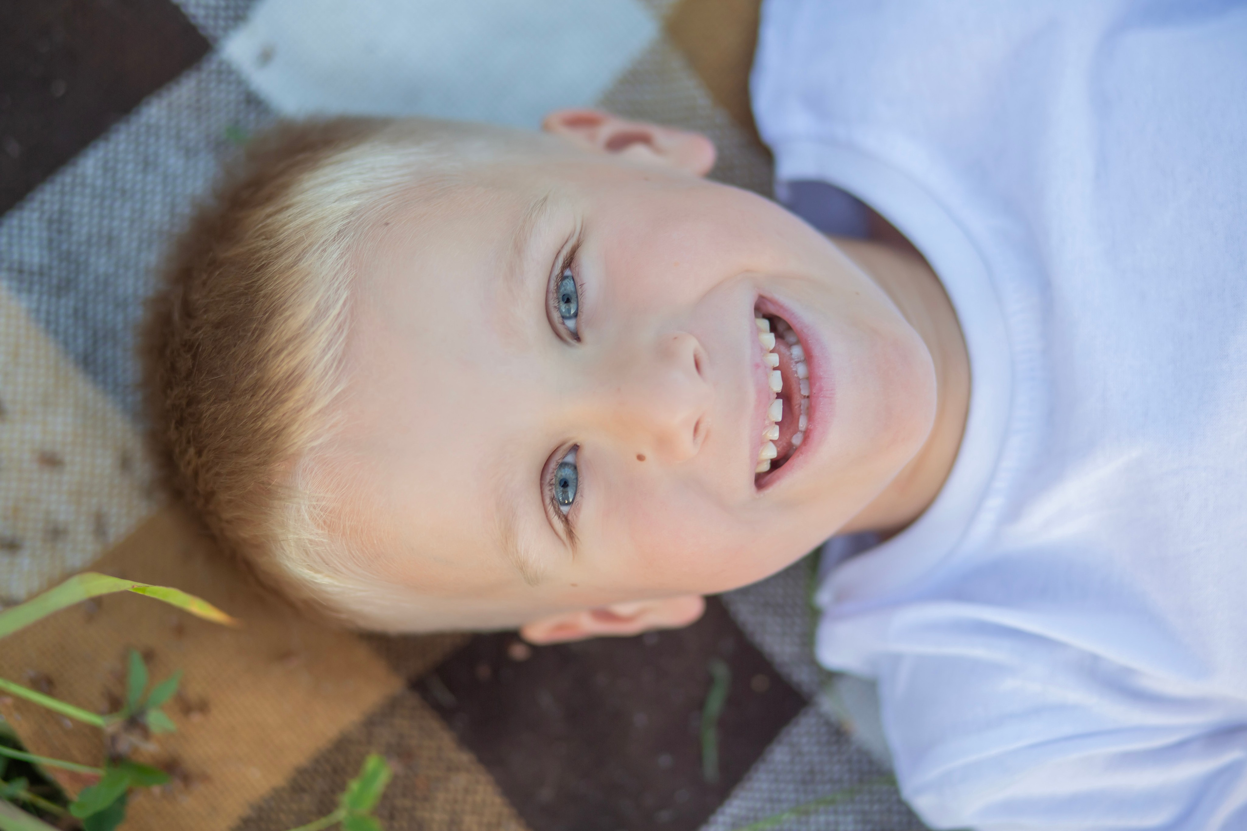 В поле…. Семейный и детский фотограф в Москве и МО — Александра