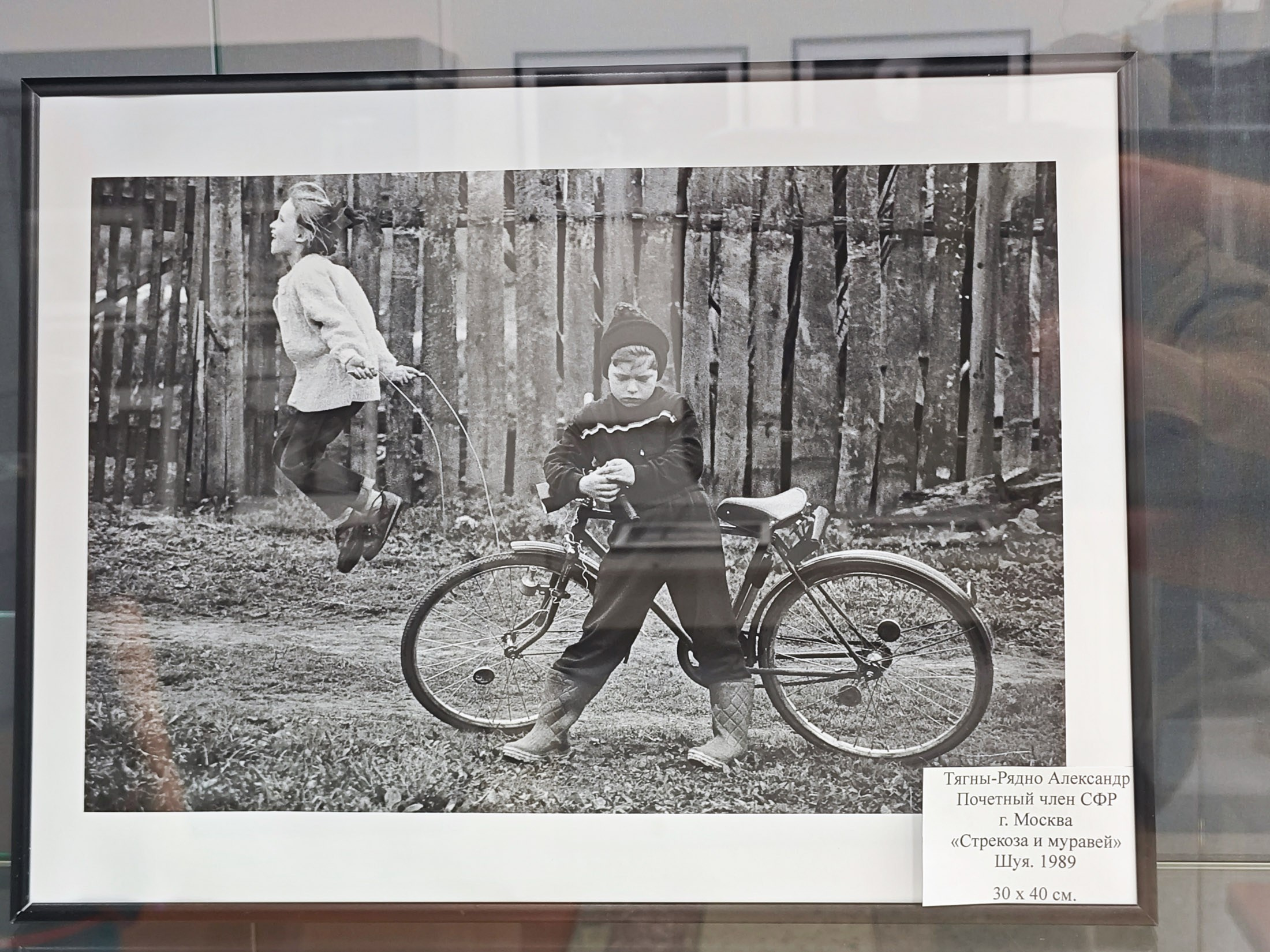Выставка в г. Крымск. Фотографии Лены Соколовой