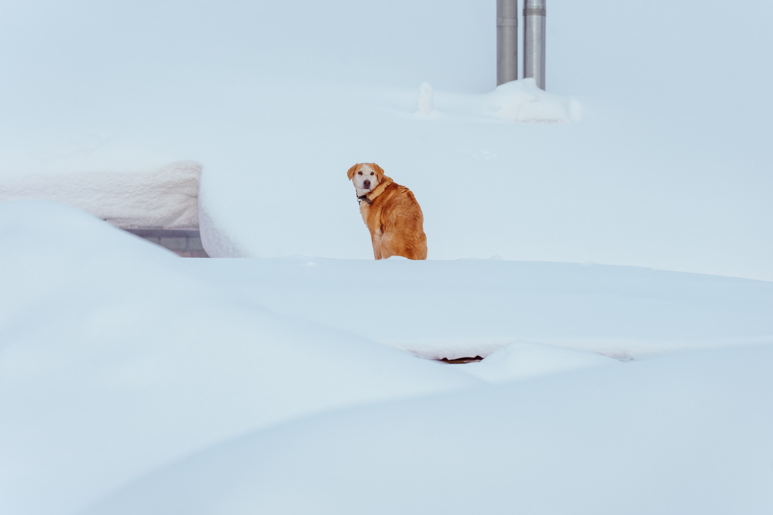 Зимняя сказка Пермского края