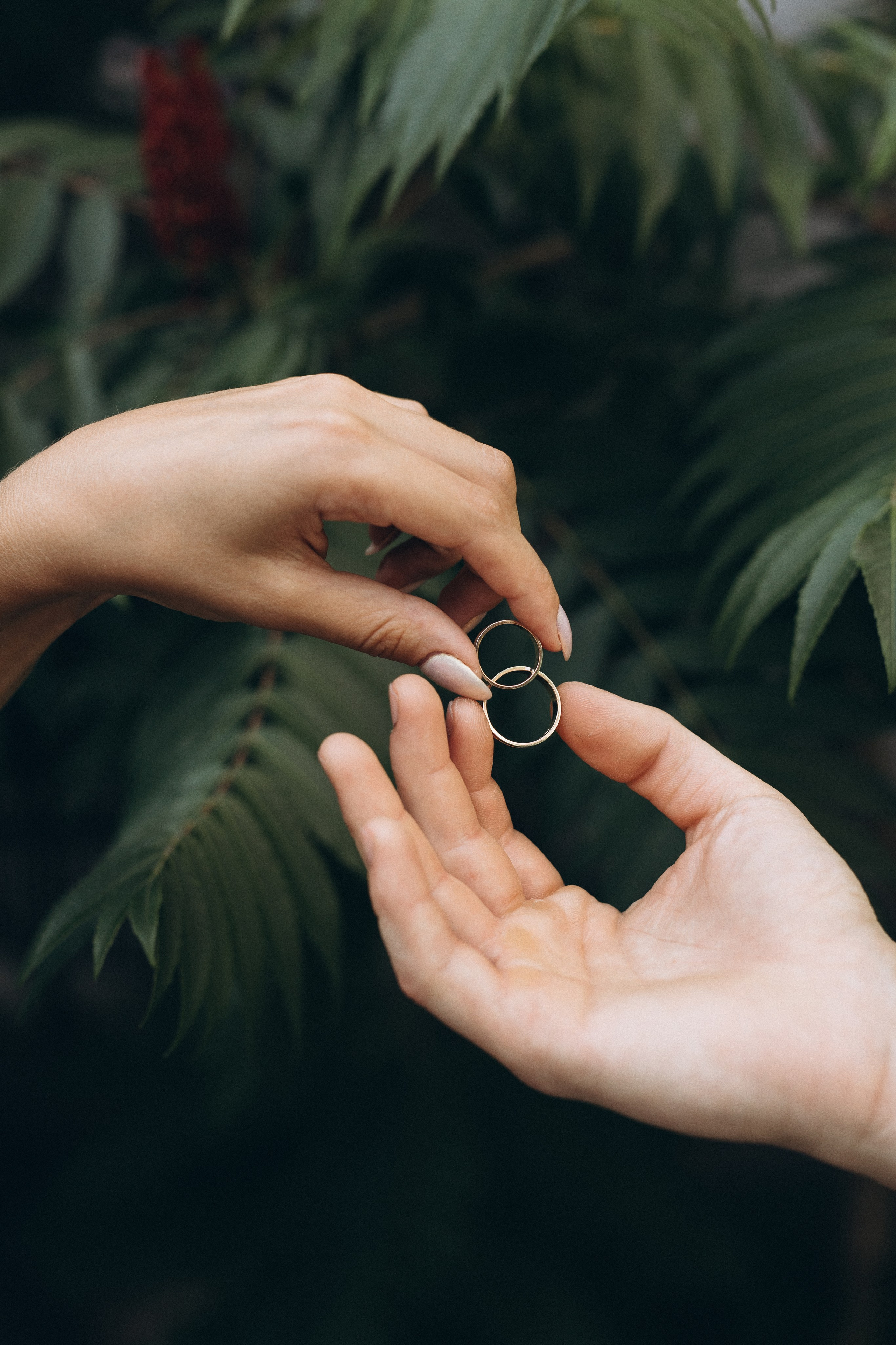 Свадебное портфолио. Алёна Берёзка фотограф Минск