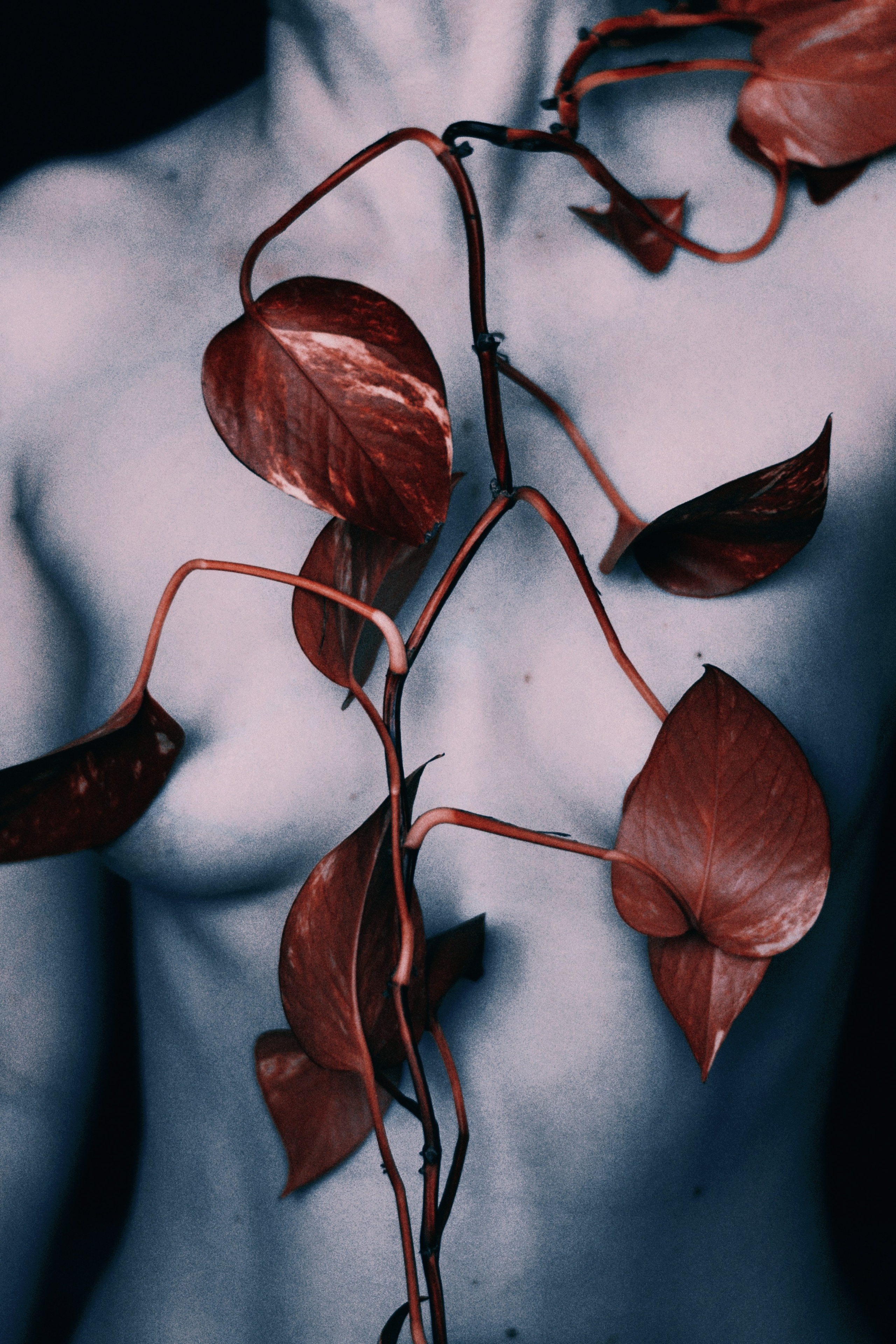 Проект «Быть дома». Фотограф Дарья Мустафина, Тюмень