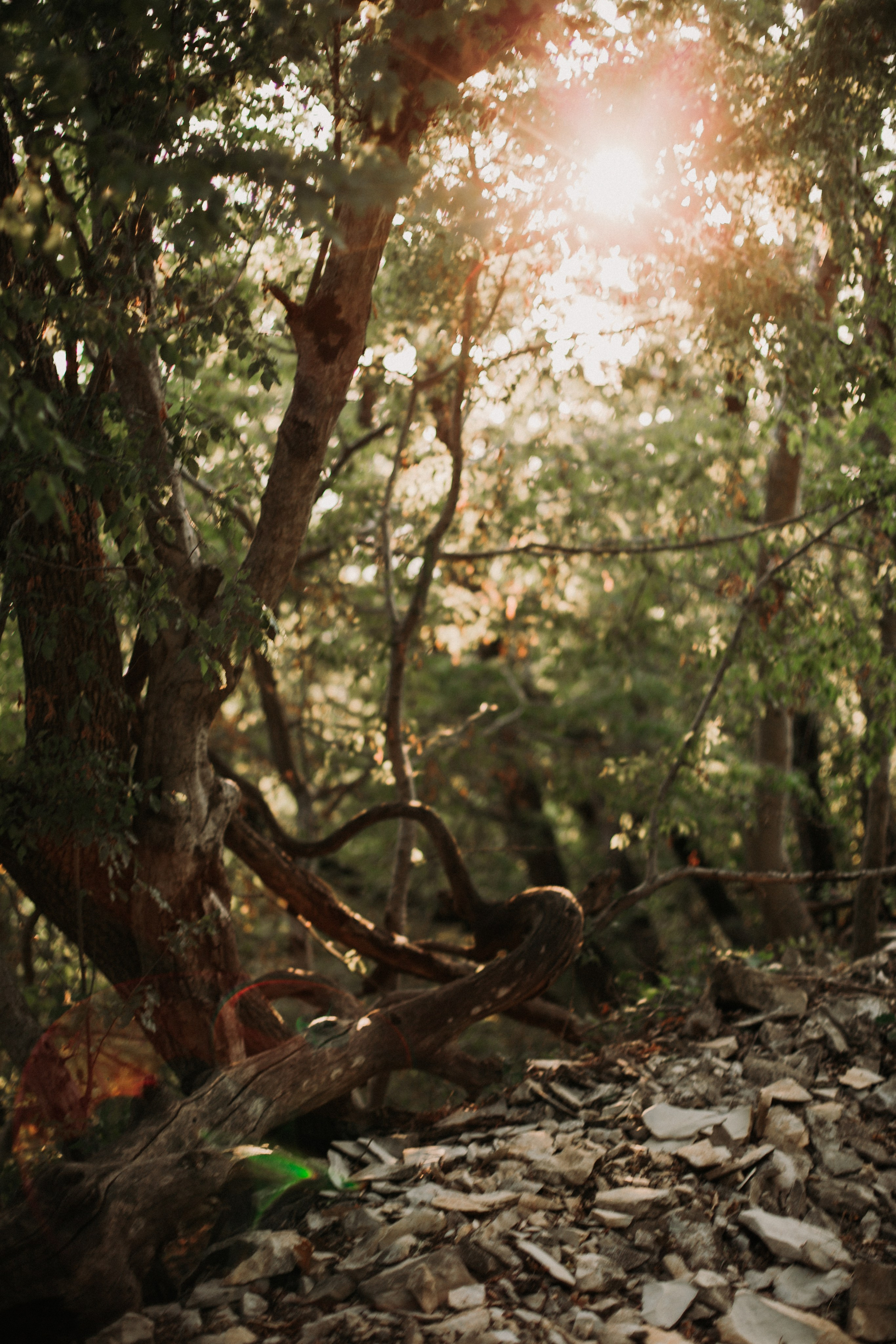 Дороги земли ветров. Портретный фотограф в Москве и Геленджике Кирилл Вахитов