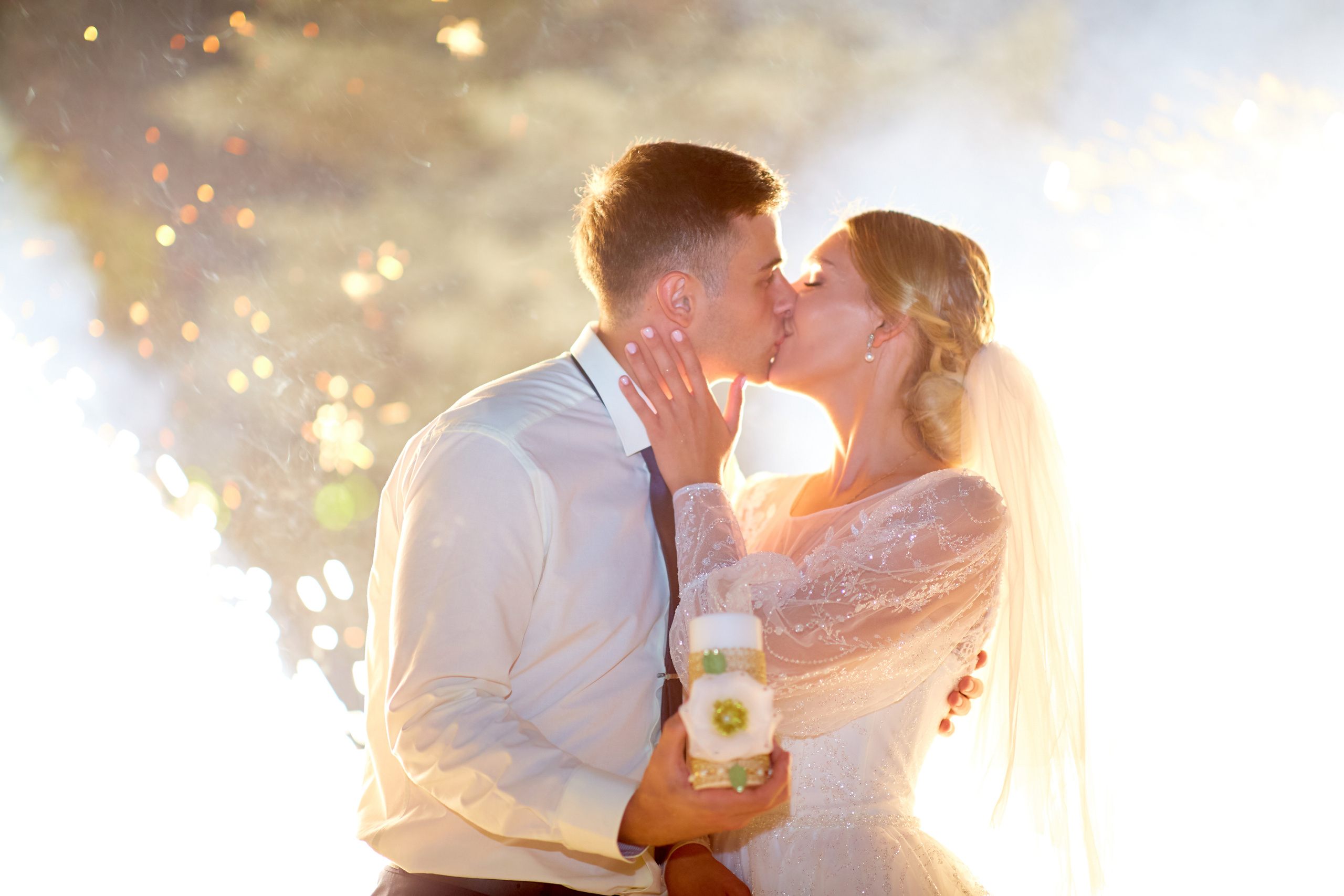 Свадьба Дарины и Андрея. Photographer for business Mikhail Semenov. Aqua photo studio, photo school