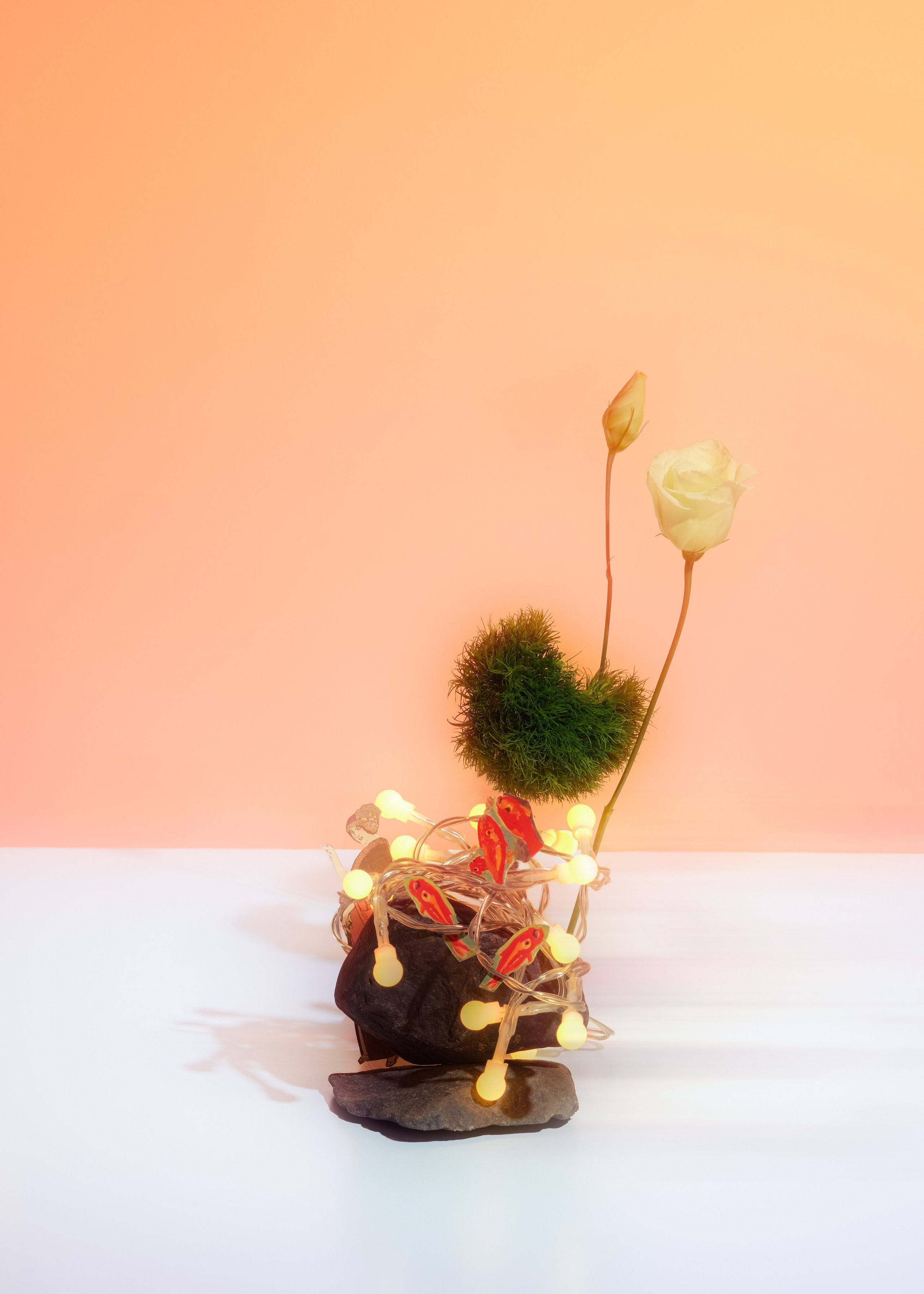 Предметный фотограф | Санкт-Петербург | Кристи Хареба