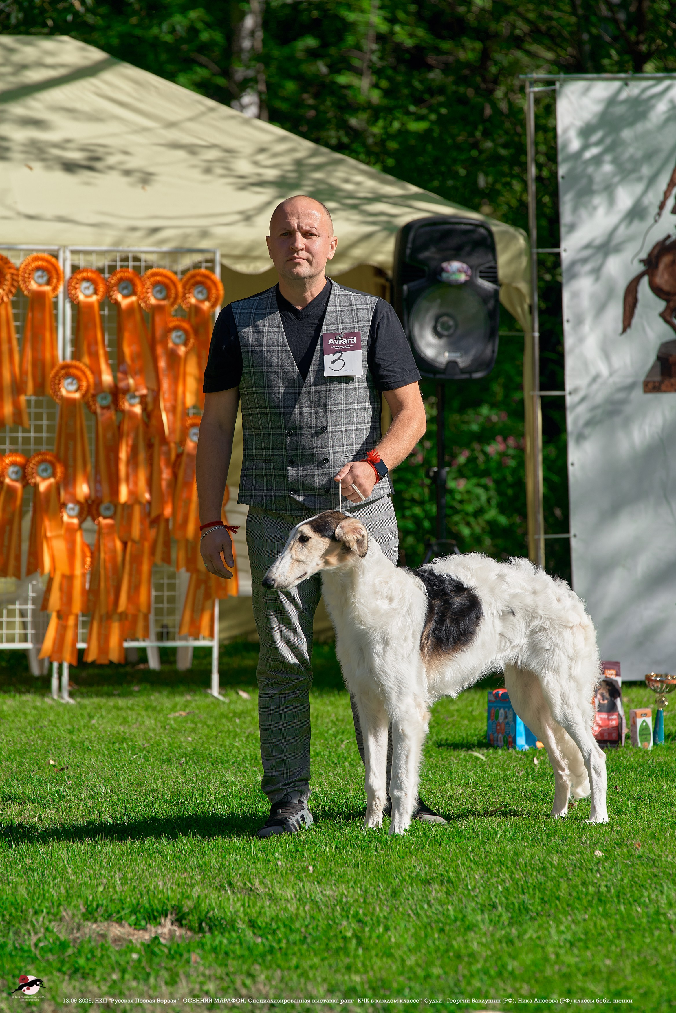ОСЕННИЙ МАРАФОН | Специализированная выставка породы Русская Псовая Борзая ранг "КЧК в каждом классе"