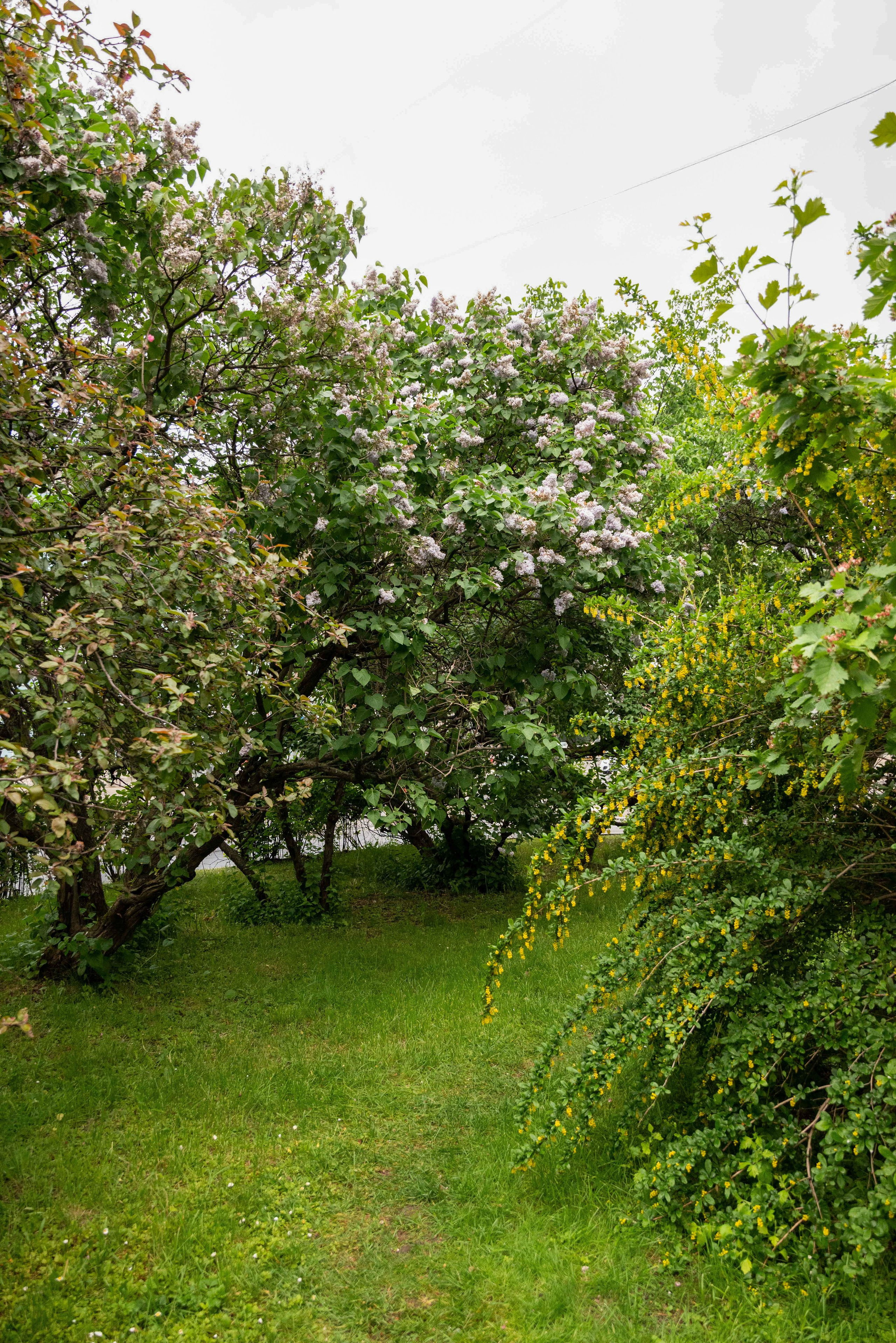 Парк ЕКАТЕРИНИНСКИЙ обзор. Фотограф в Москве и Московской области (Ю-В) Олеся Макарова