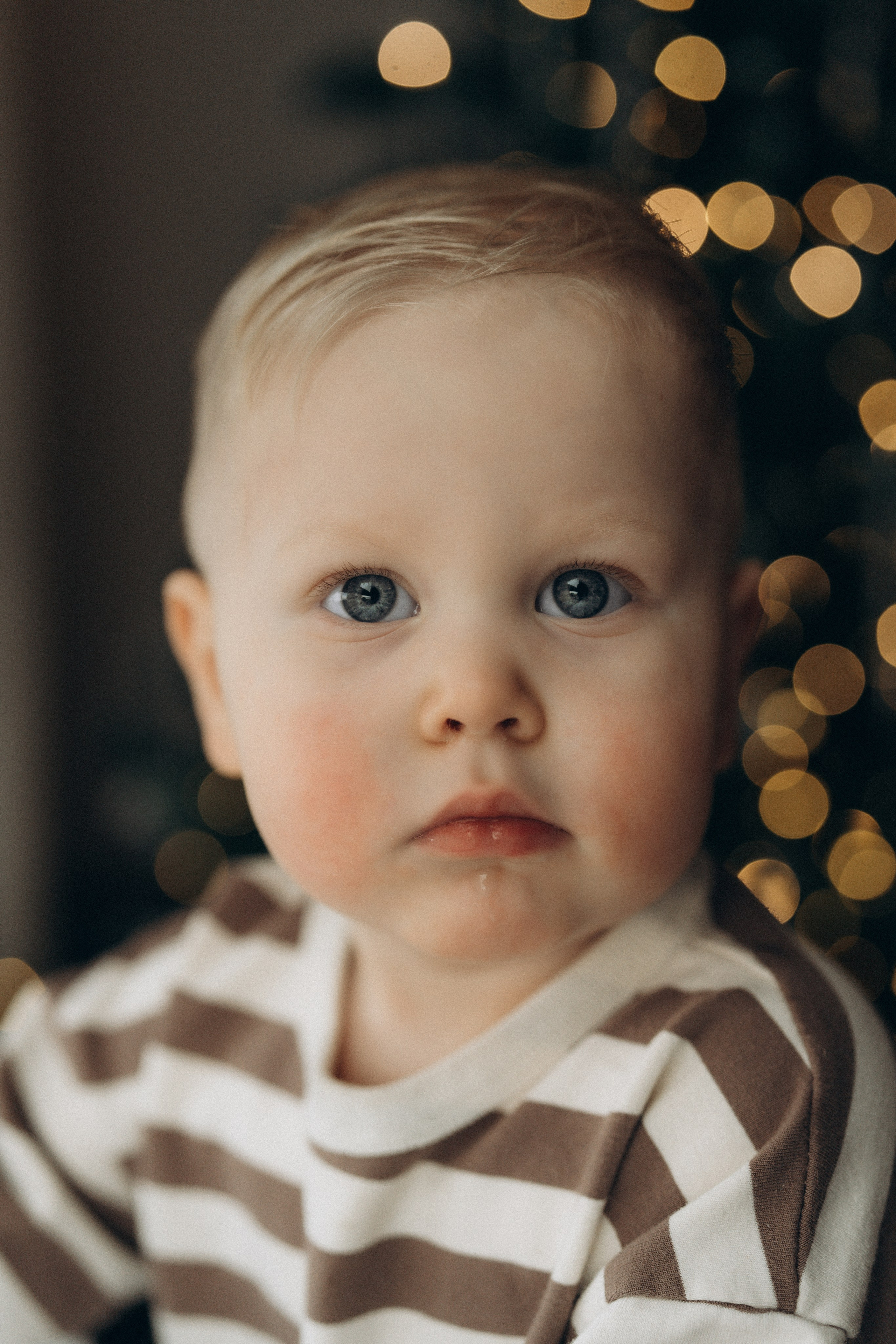 29.12.2024. Елизавета Шумик Семейный Фотограф