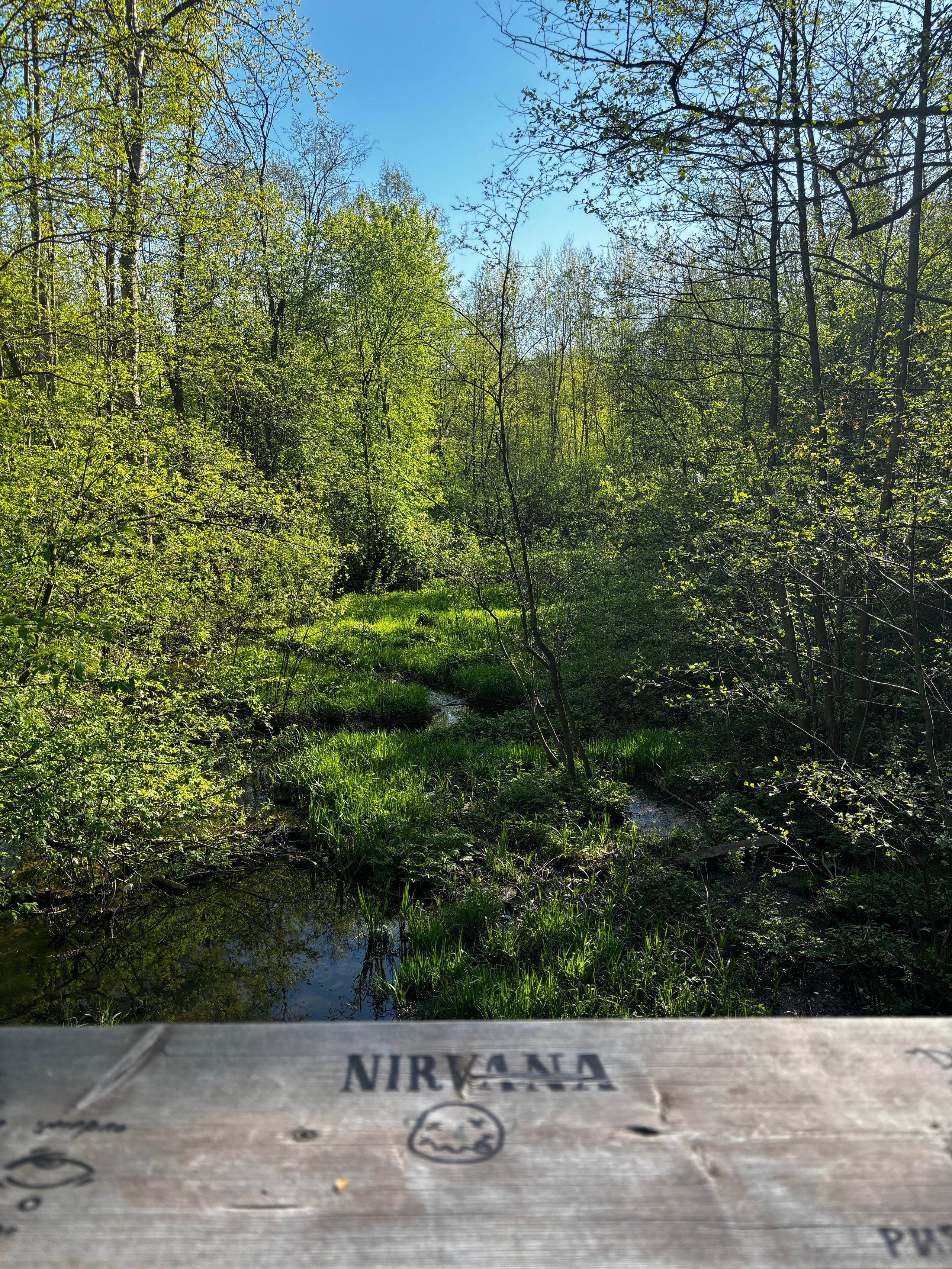 Автор: Инесса Латыпова