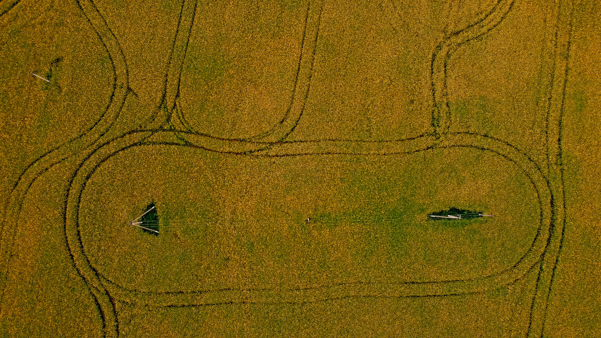 Параллельные миры. Свадебный Фотограф Минск || Фото и Видеосъёмка Минск || Другие города