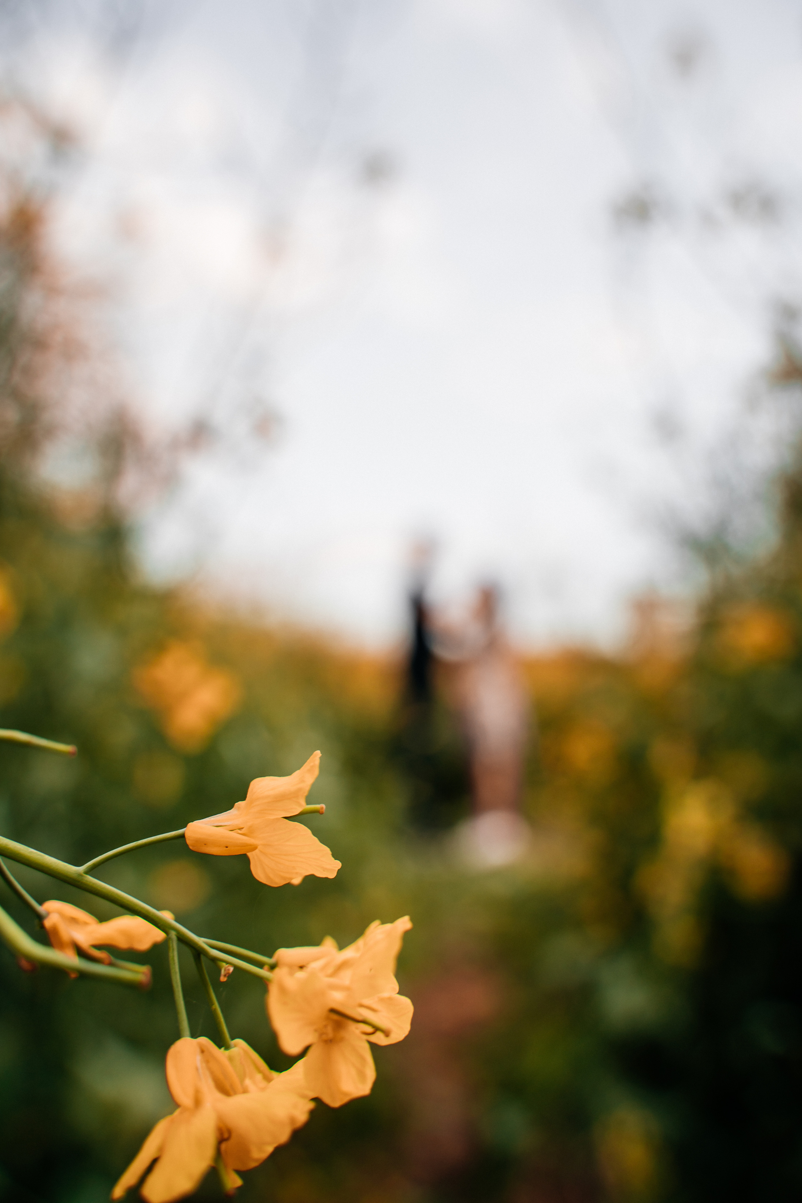 Параллельные миры. Свадебный Фотограф Минск || Фото и Видеосъёмка Минск || Другие города