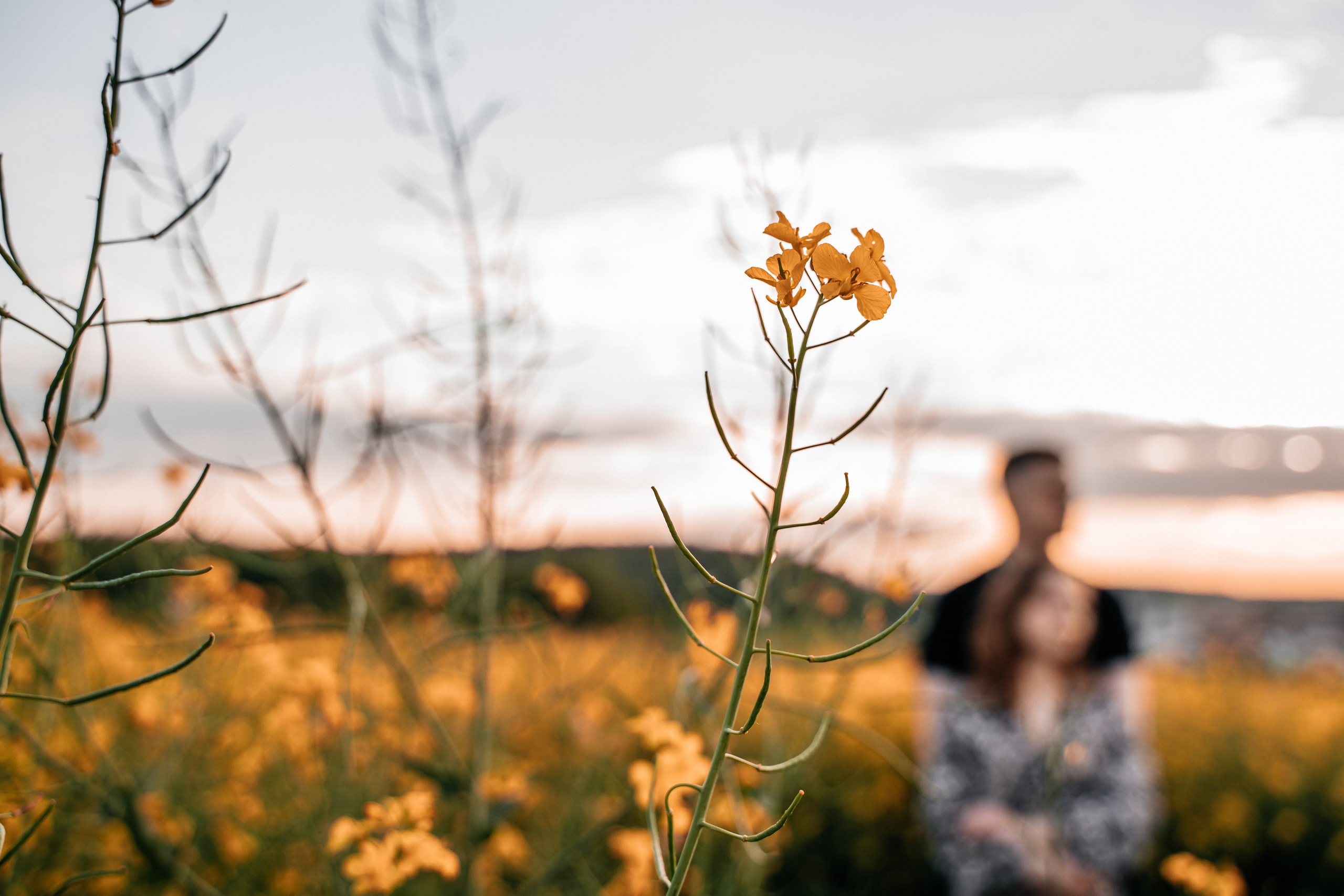 Параллельные миры. Свадебный Фотограф Минск || Фото и Видеосъёмка Минск || Другие города