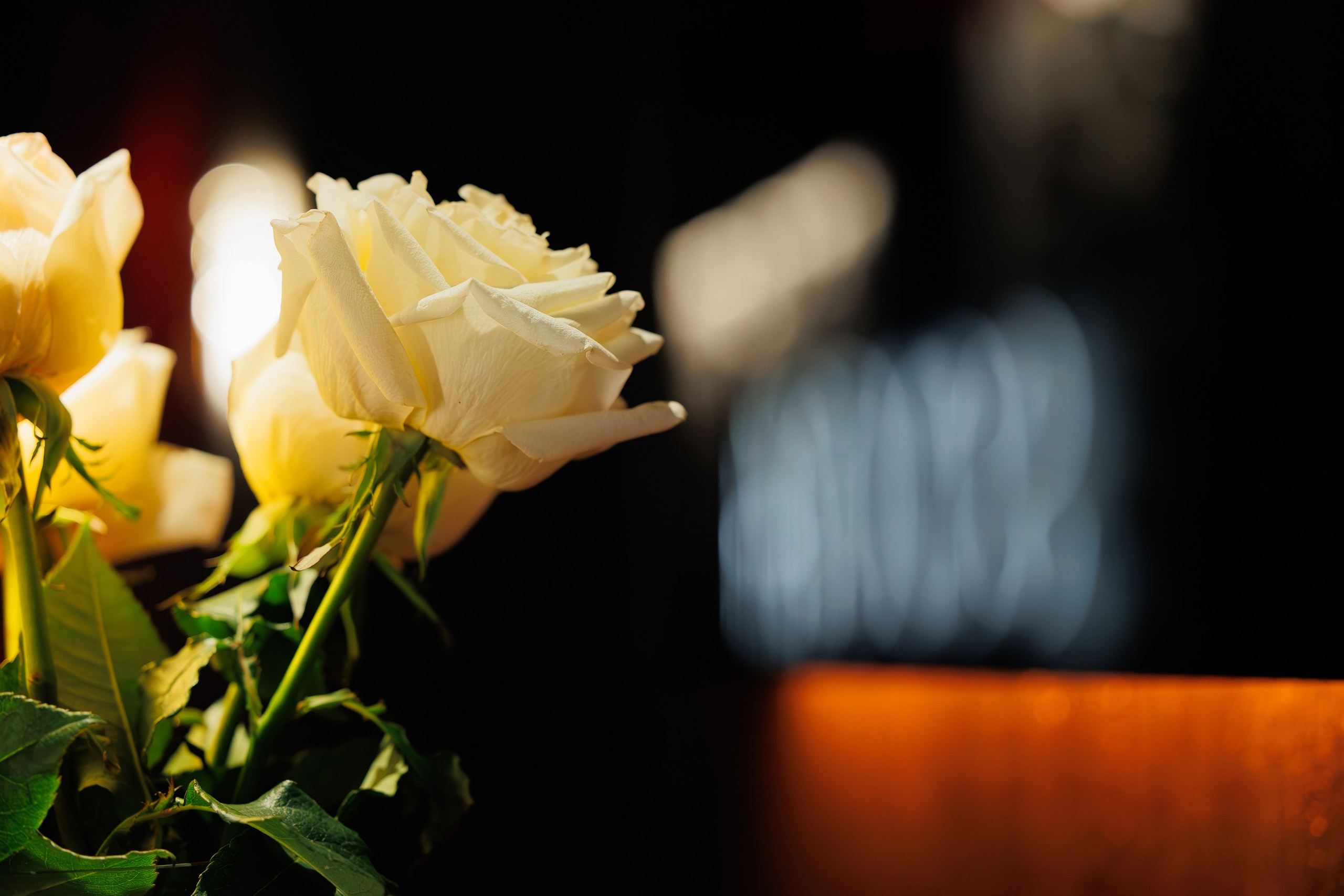 SOLOVI — PRE-8 MARCH. СВОИ. ФОТООТЧЕТЫ-СОБЫТИЯ-МЕСТА